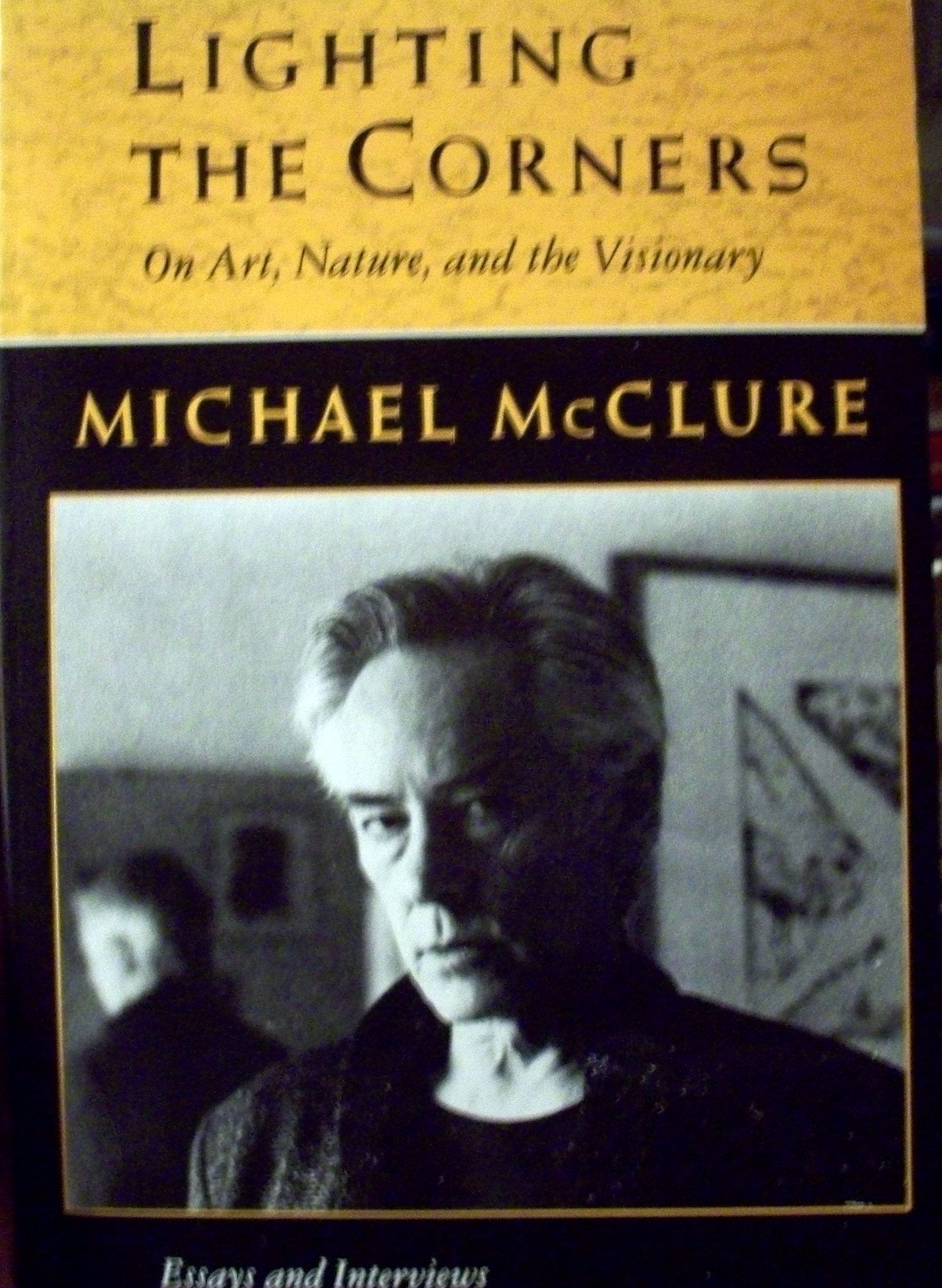 Lighting the Corners: On Nature, Art, & the Visionary : Essays & Interviews book