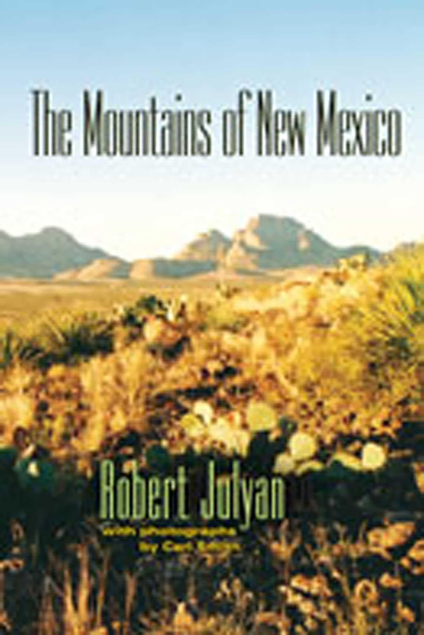 The Mountains of New Mexico Leisure, Home & Garden
