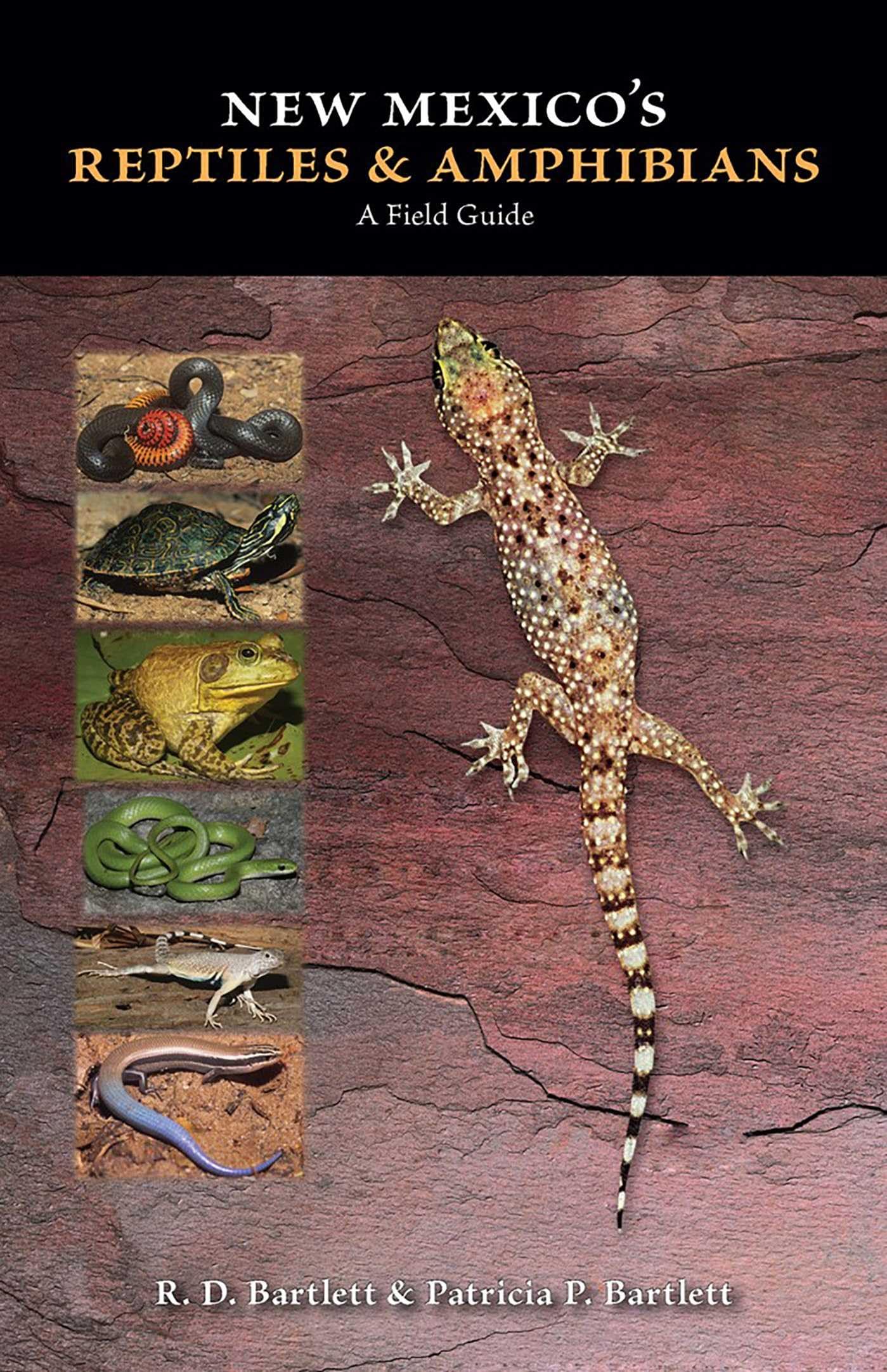 New Mexico's Reptiles and Amphibians: A Field Guide Mathematics