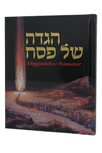 Haggadah For Passover Illustrated By Zalman Kleinman Medium Size with English Translation Books