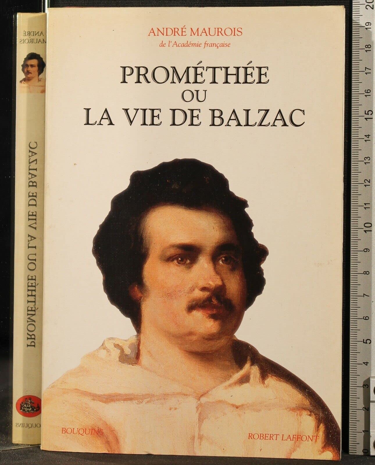Prométhée ou La vie de Balzac book