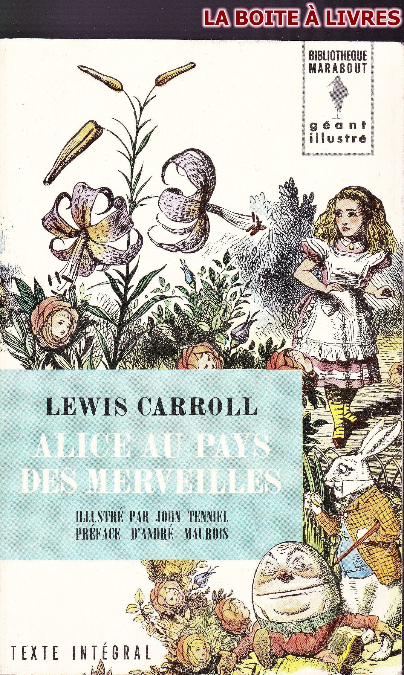 Alice au pays des merveilles Suivi de De l'autre côté du miroir (Bibliothèque Marabout) book