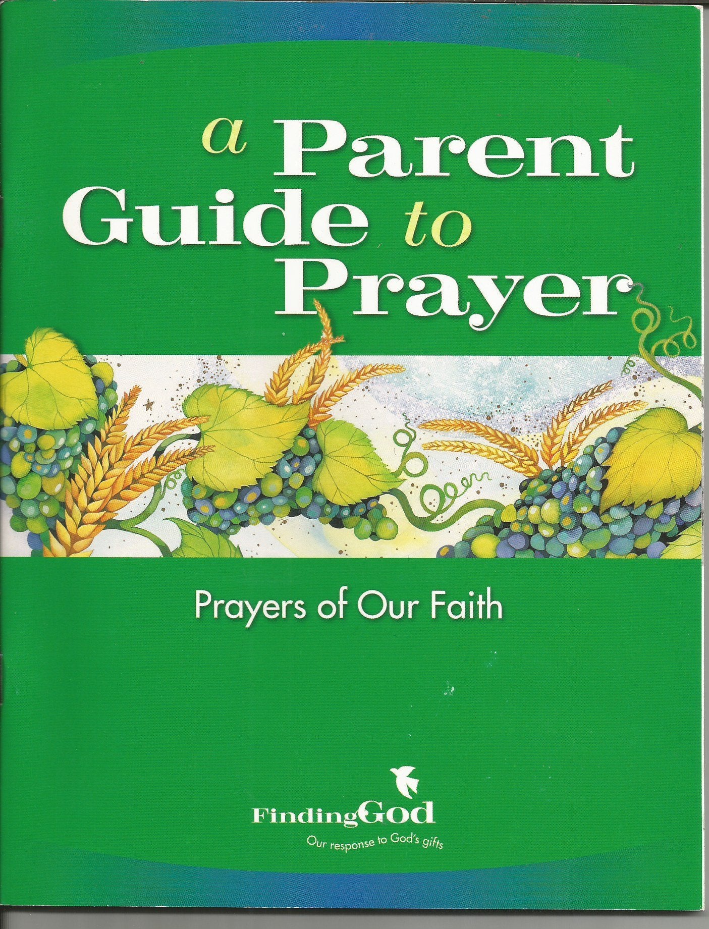 A Parent Guide to Prayer: Prayers of Our Faith book