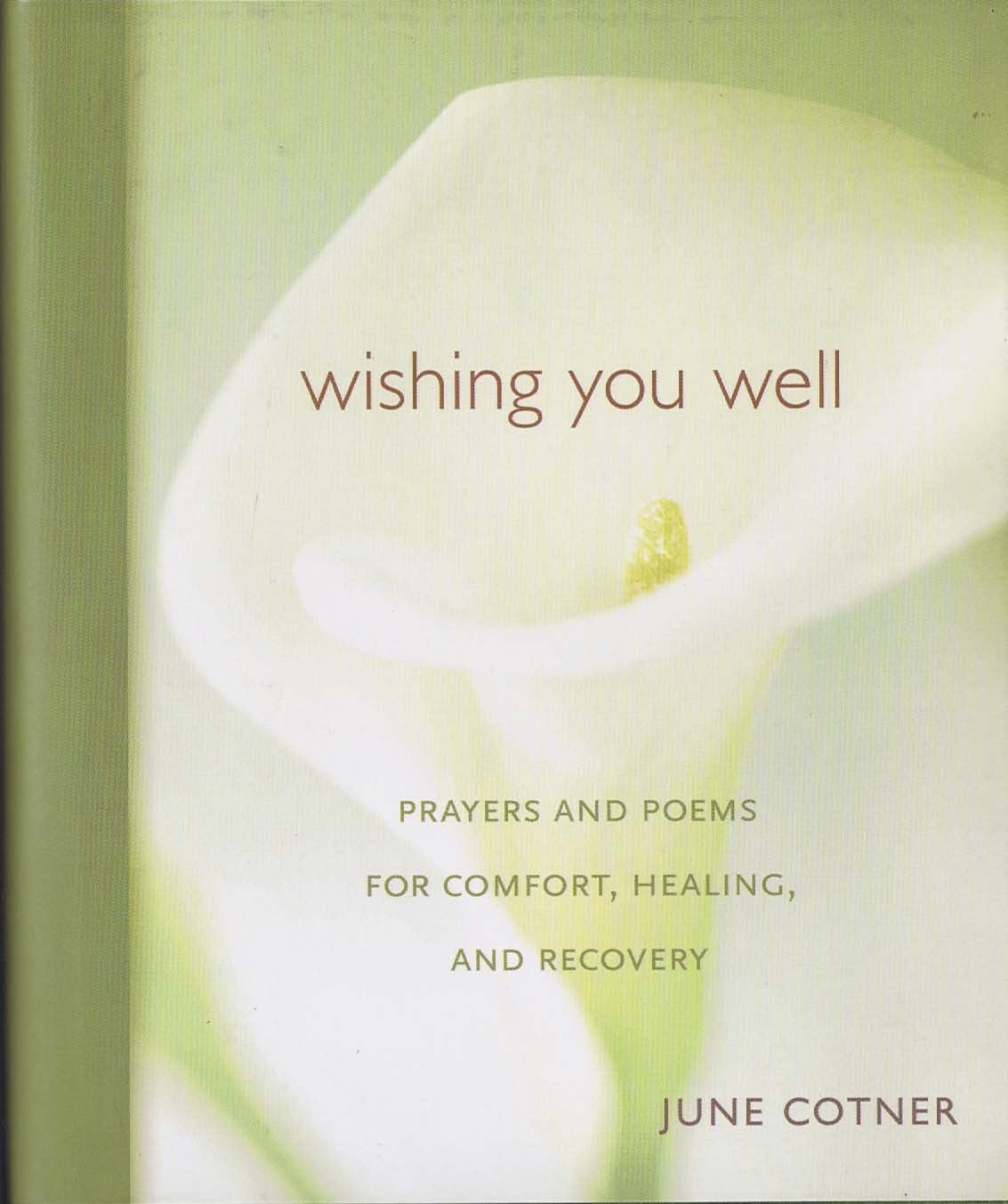 Wishing You Well: Prayers And Poems For Comfort, Healing And Recovery Religion & Esotericism