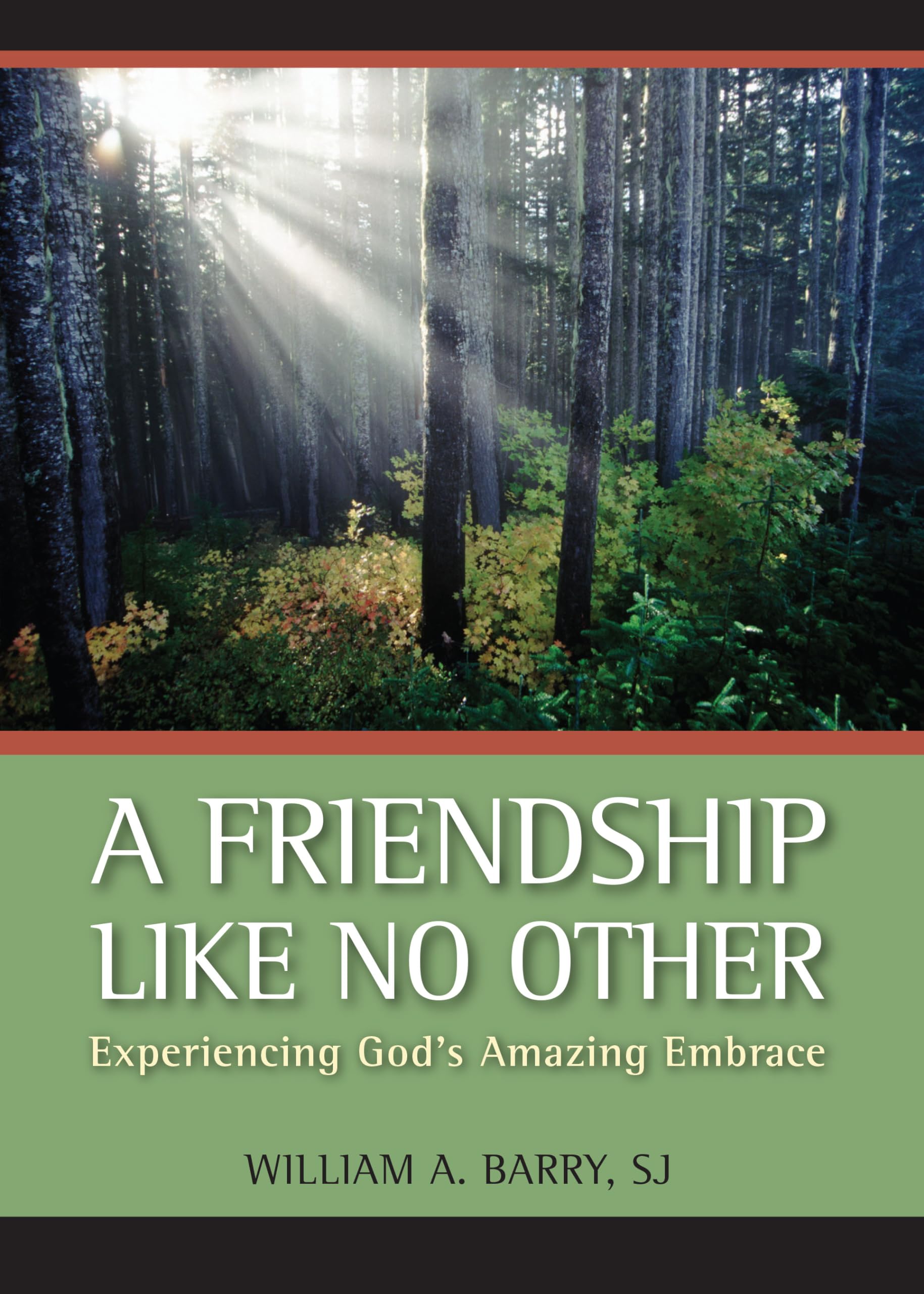 A Friendship Like No Other: Experiencing God's Amazing Embrace book