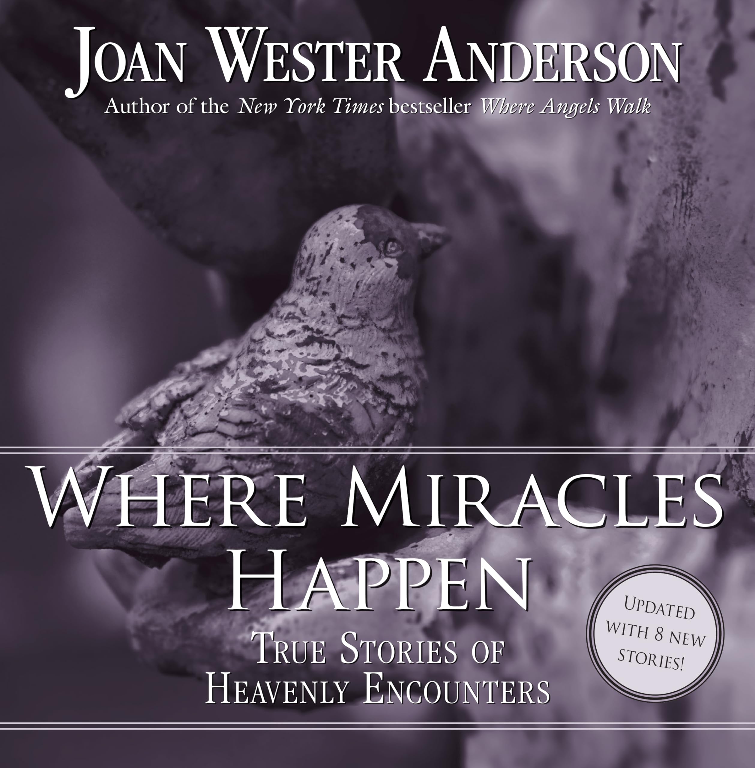 Where Miracles Happen: True Stories of Heavenly Encounters Social Sciences