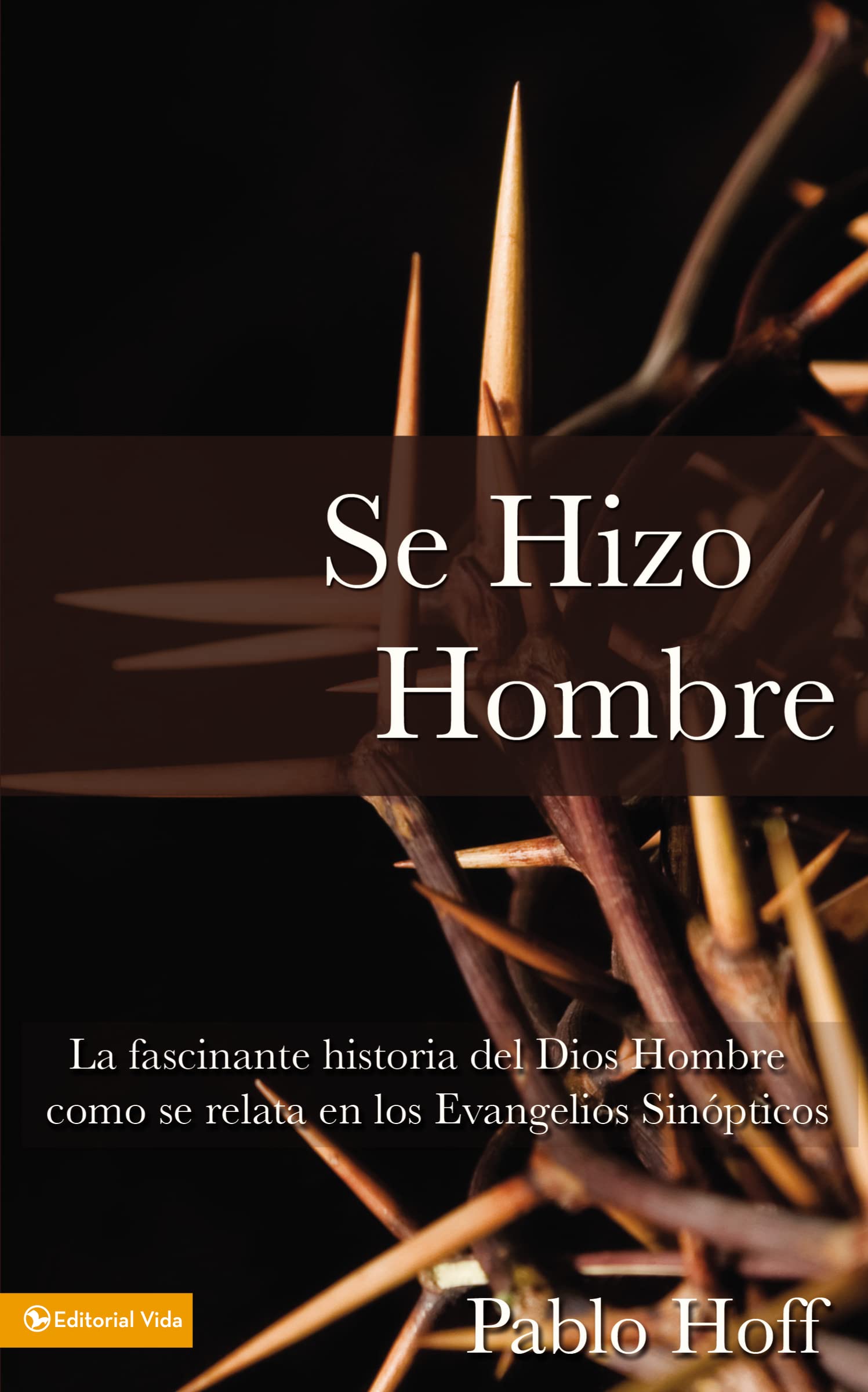 Se hizo hombre: A Great Story of How God Became a Man: La fascínate historia del Dios hombre como se relata en los evangelios sinópticos Religion & Esotericism
