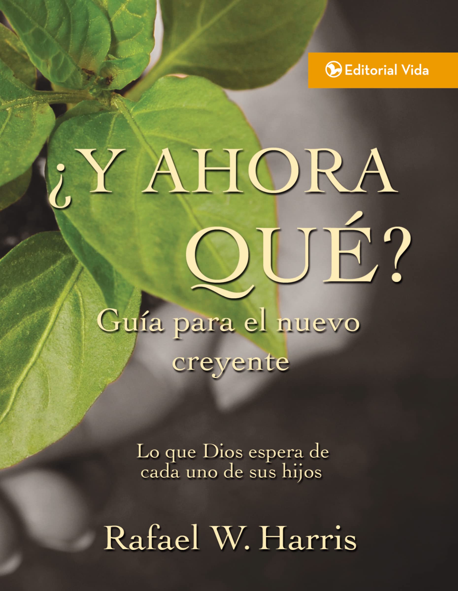 ¿Y ahora qué? Guía para el nuevo creyente: Lo que Dios espera de cada uno de sus hijos Lifestyle