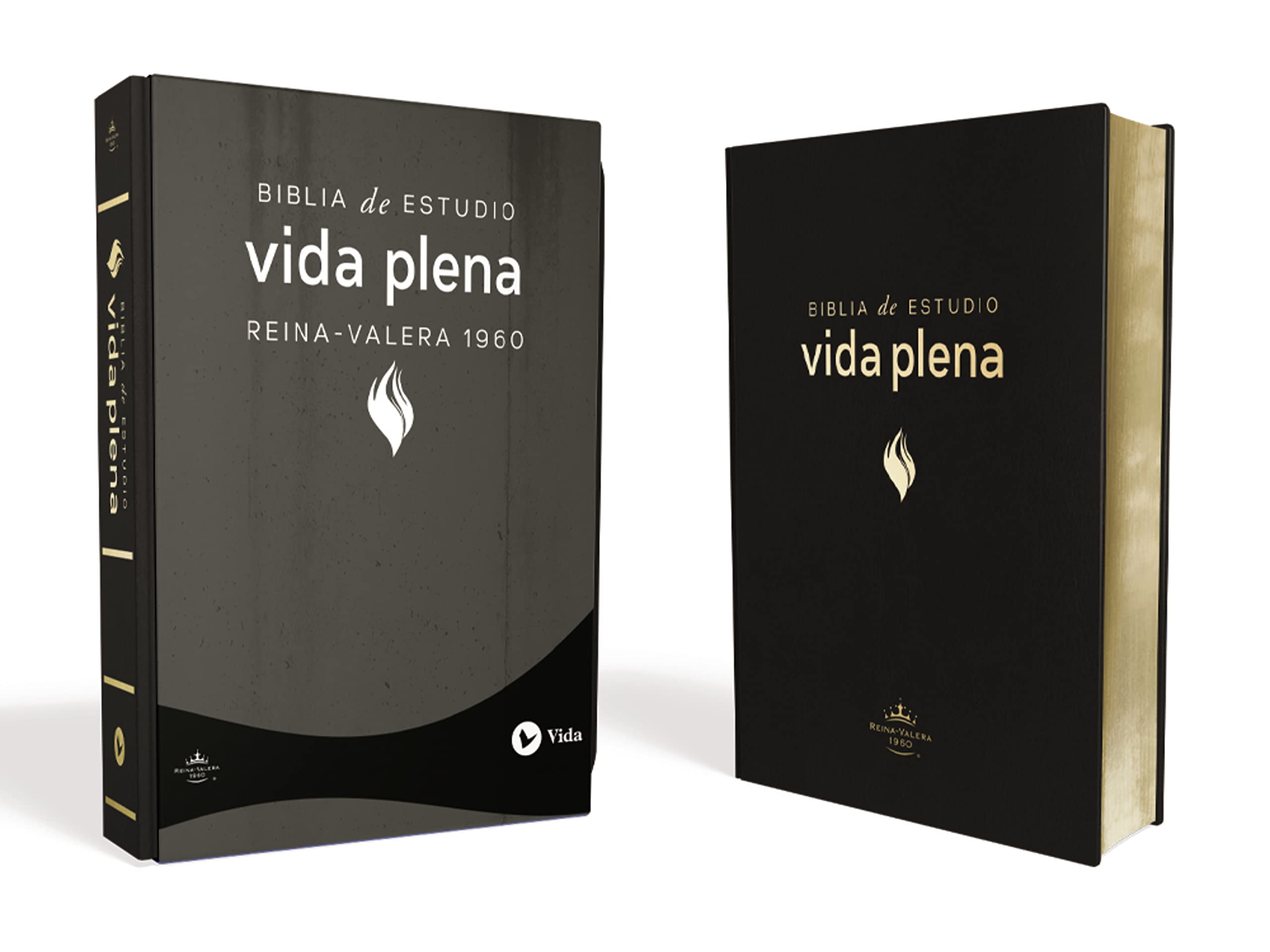 RVR60, Biblia de Estudio de la vida plena, Leather-Look, Negro Film, Art & Culture