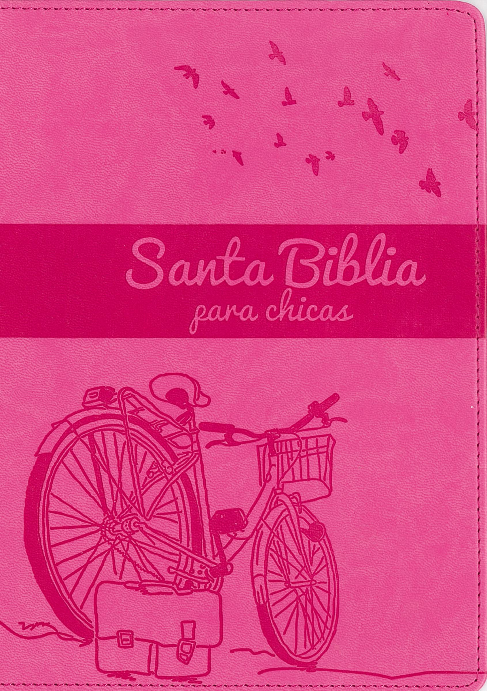 Santa Biblia para chicas NVI (Especialidades Juveniles) Film, Art & Culture