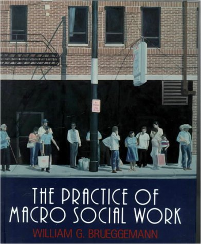 The Practice of Macro Social Work (Nelson-Hall Series in Social Work) Politics & History