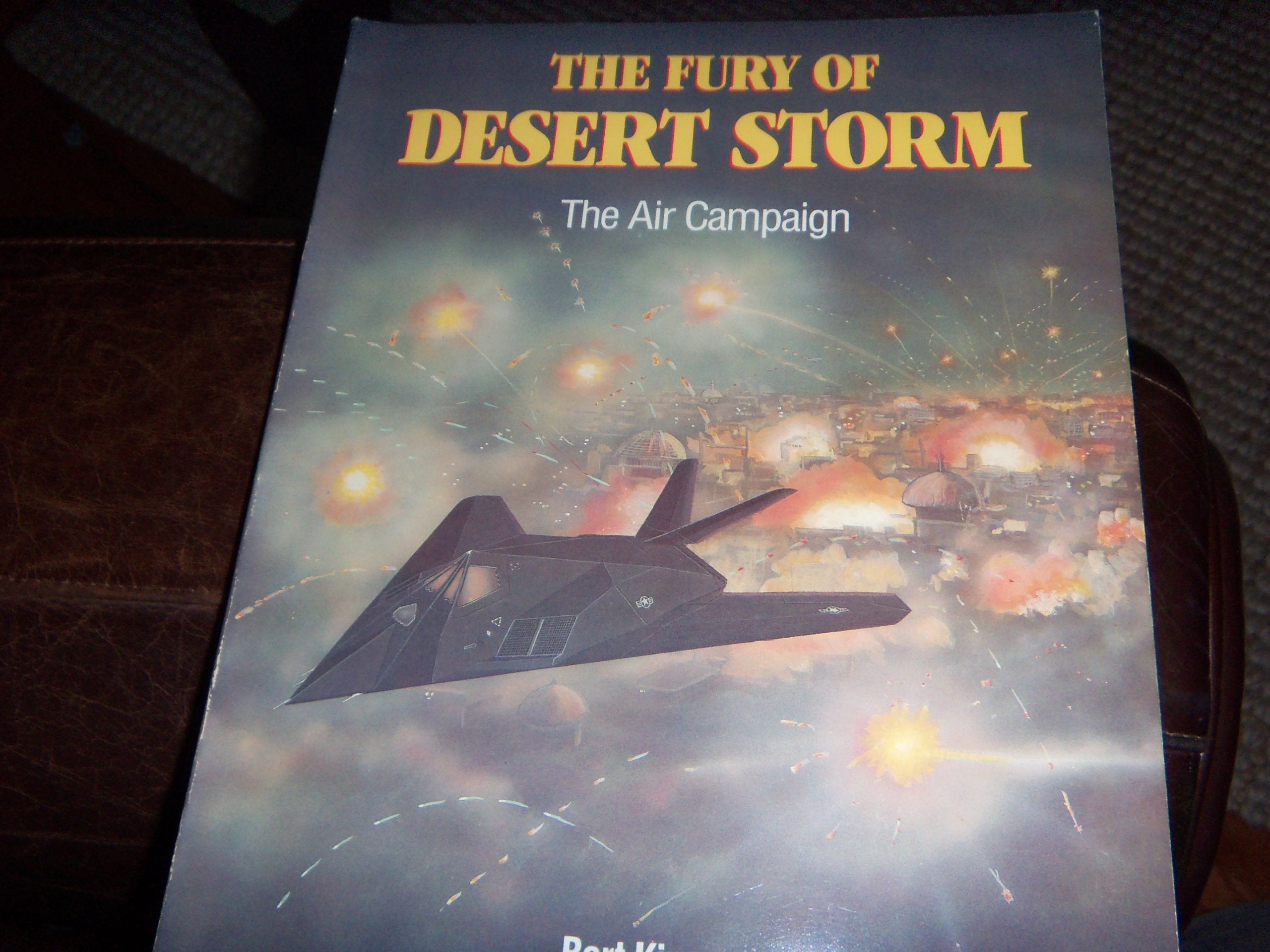 Air Campaign (Fury of Desert Storm) Social Sciences