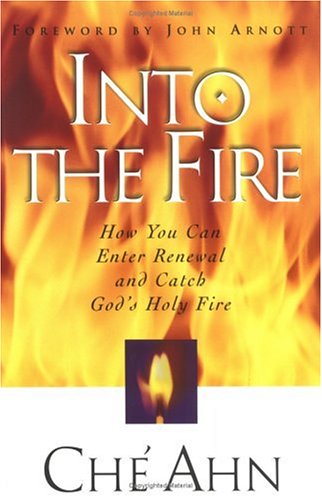 Into the Fire: How You Can Enter Renewal and Catch God's Holy Fire Religion & Esotericism