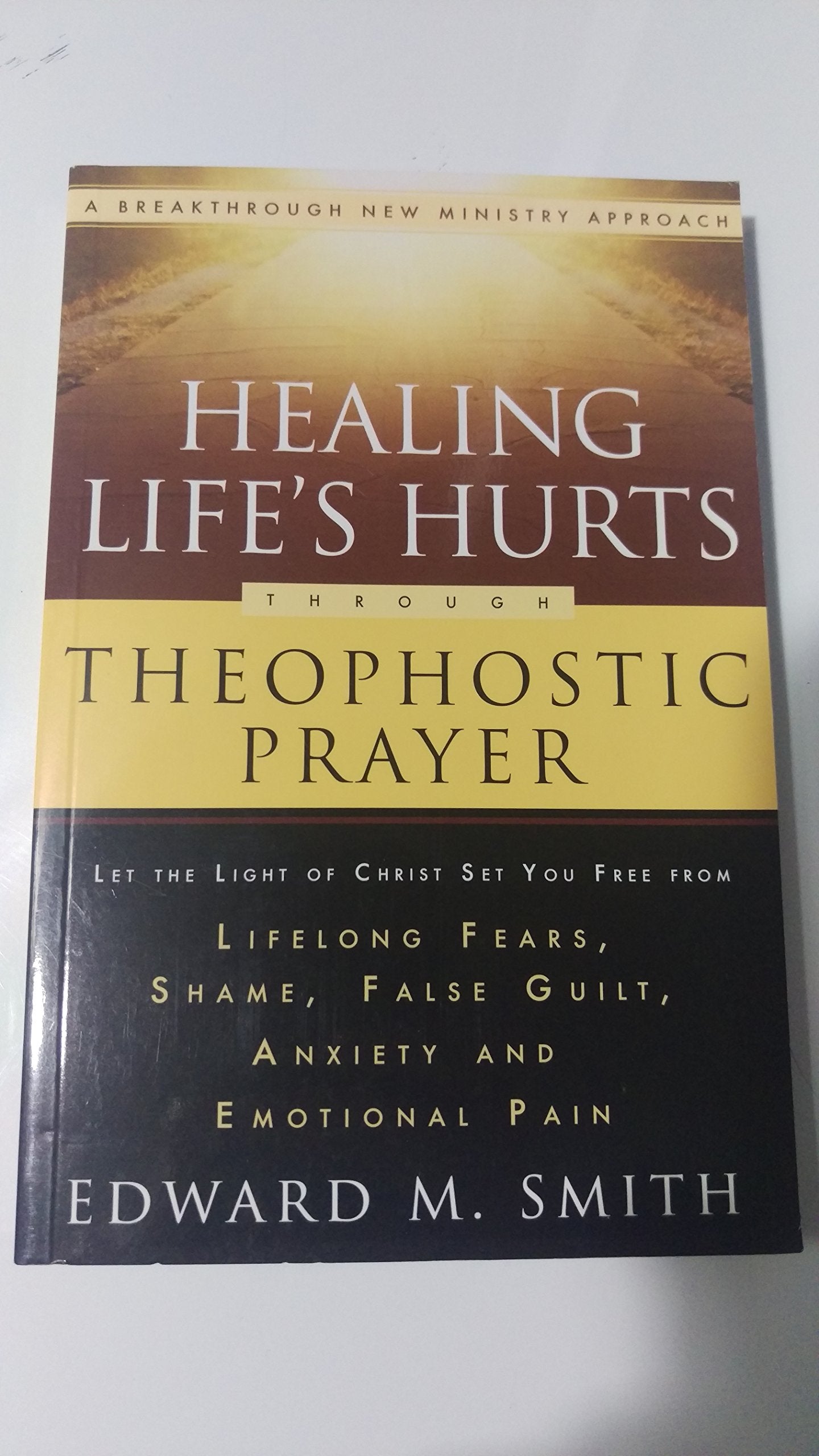 Healing Life's Hurts Through Theophostic Prayer: Let The Light Of Christ Set You Free From Lifelong Fears, Shame, False Guilt, Anxiety And Emotional Pain Religion & Esotericism