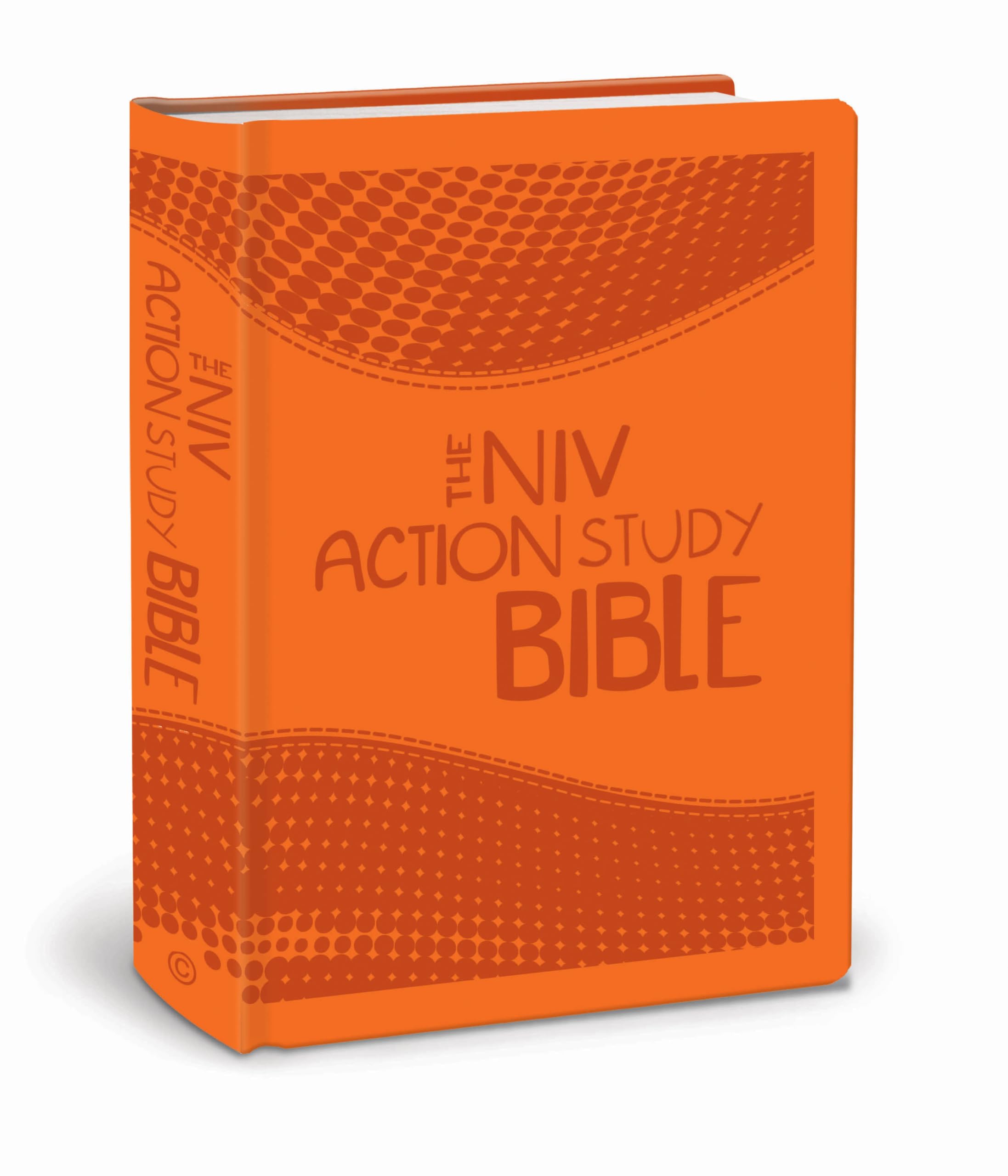 The Niv Action Study Bible: New International Version (Action Bible) Religion & Esotericism