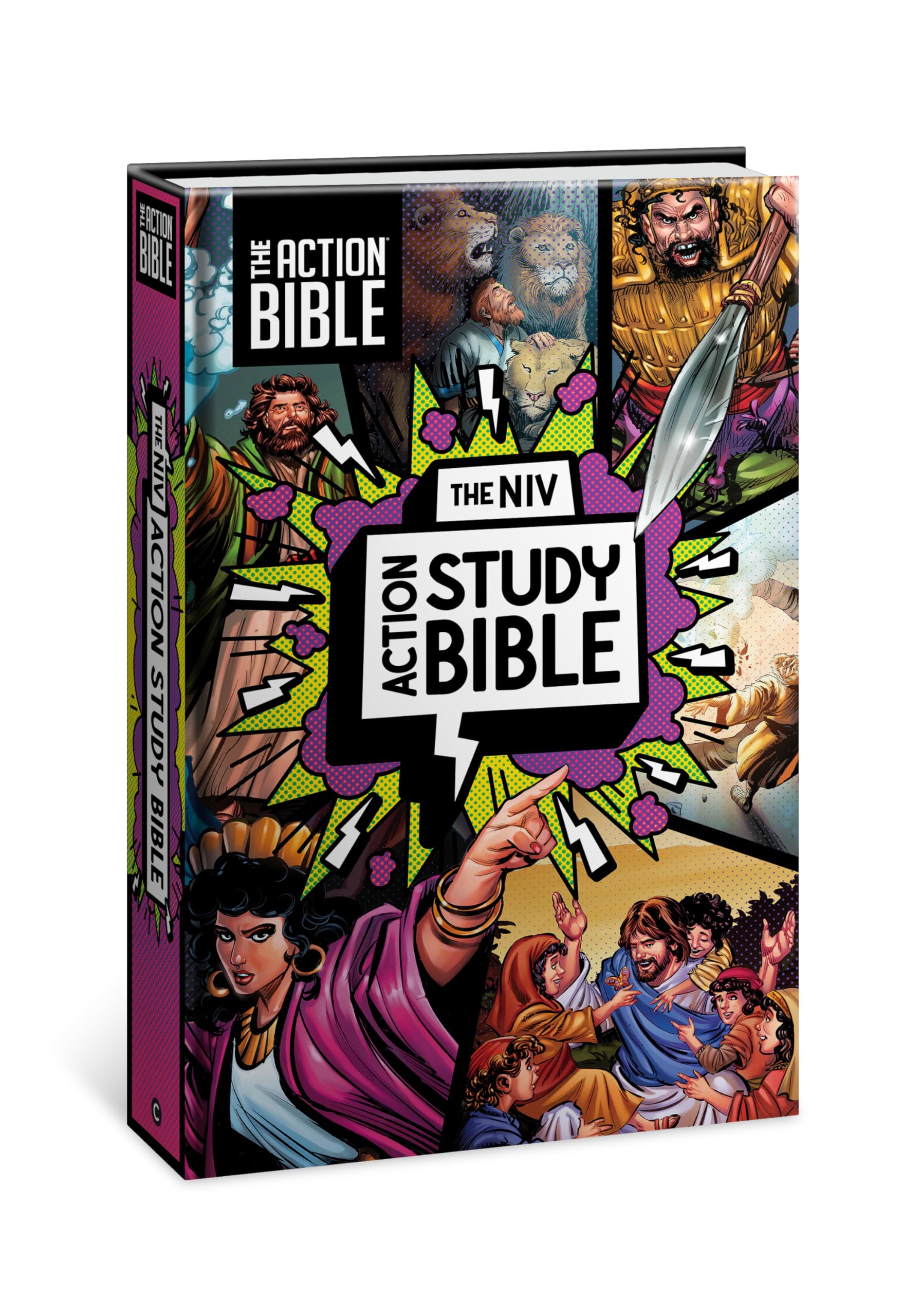 The NIV Action Study Bible: New International Version; Includes Complete Text with Vivid Illustrations, Maps, Dictionary, Concordance, Index; and an ... to Each Book of the Bible (Action Bible) Religion & Esotericism