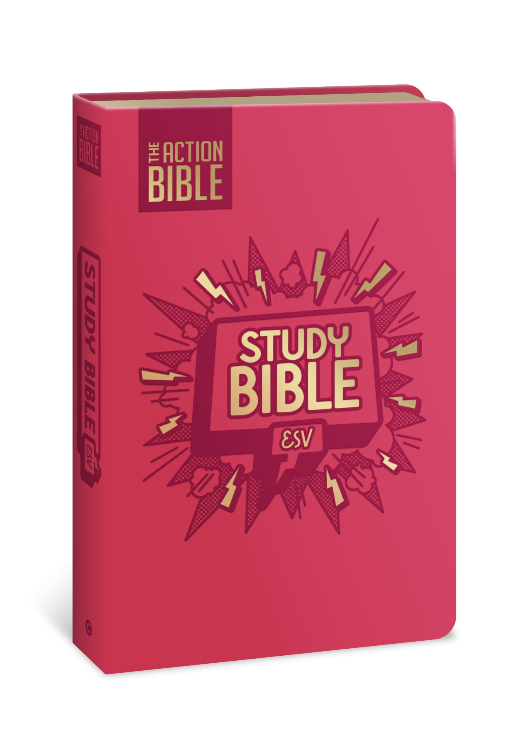 The Action Bible Study Bible Esv, Leathersoft, Pink, Full Color Religion & Esotericism