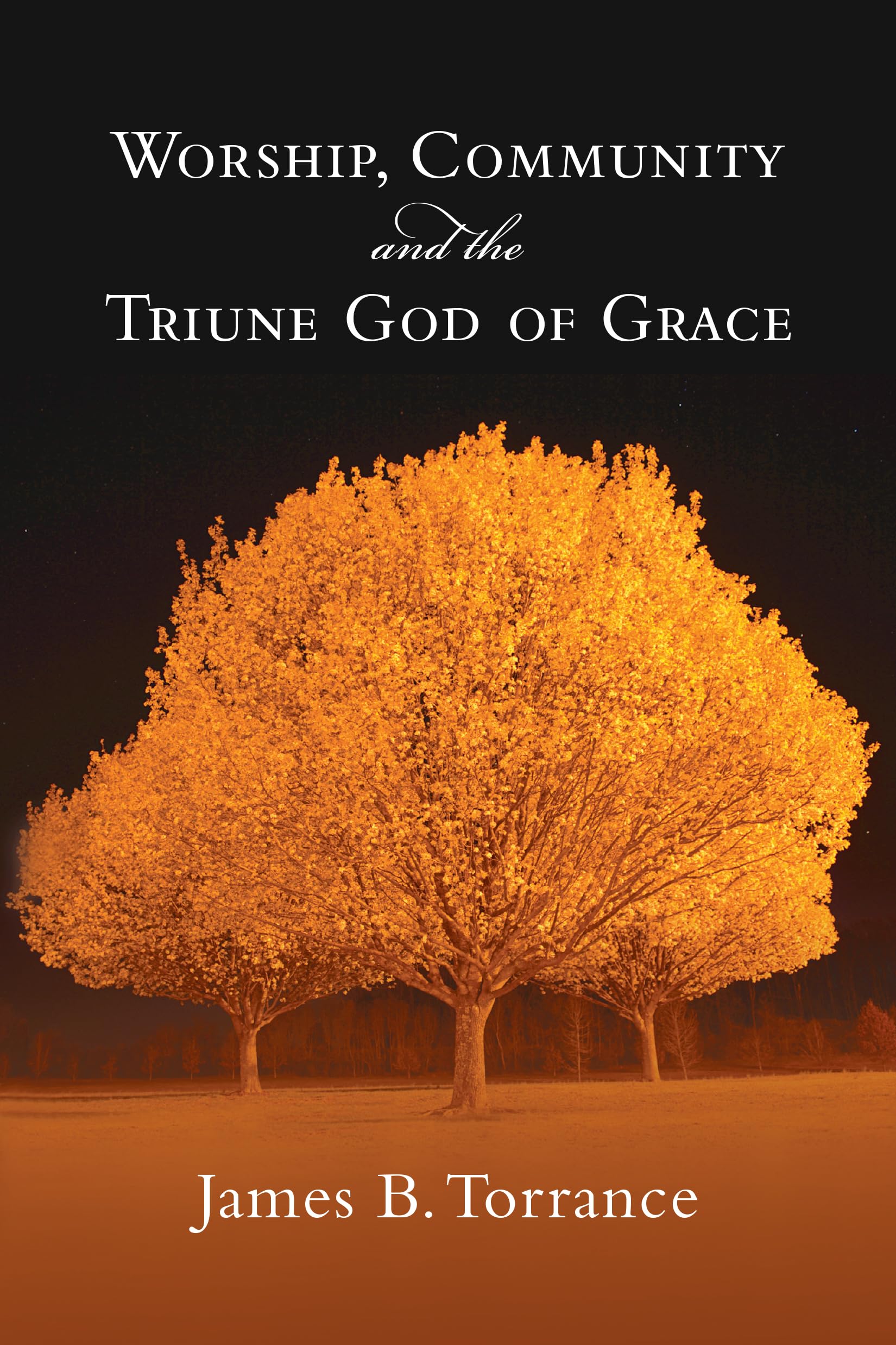 Worship, Community and the Triune God of Grace Social Sciences