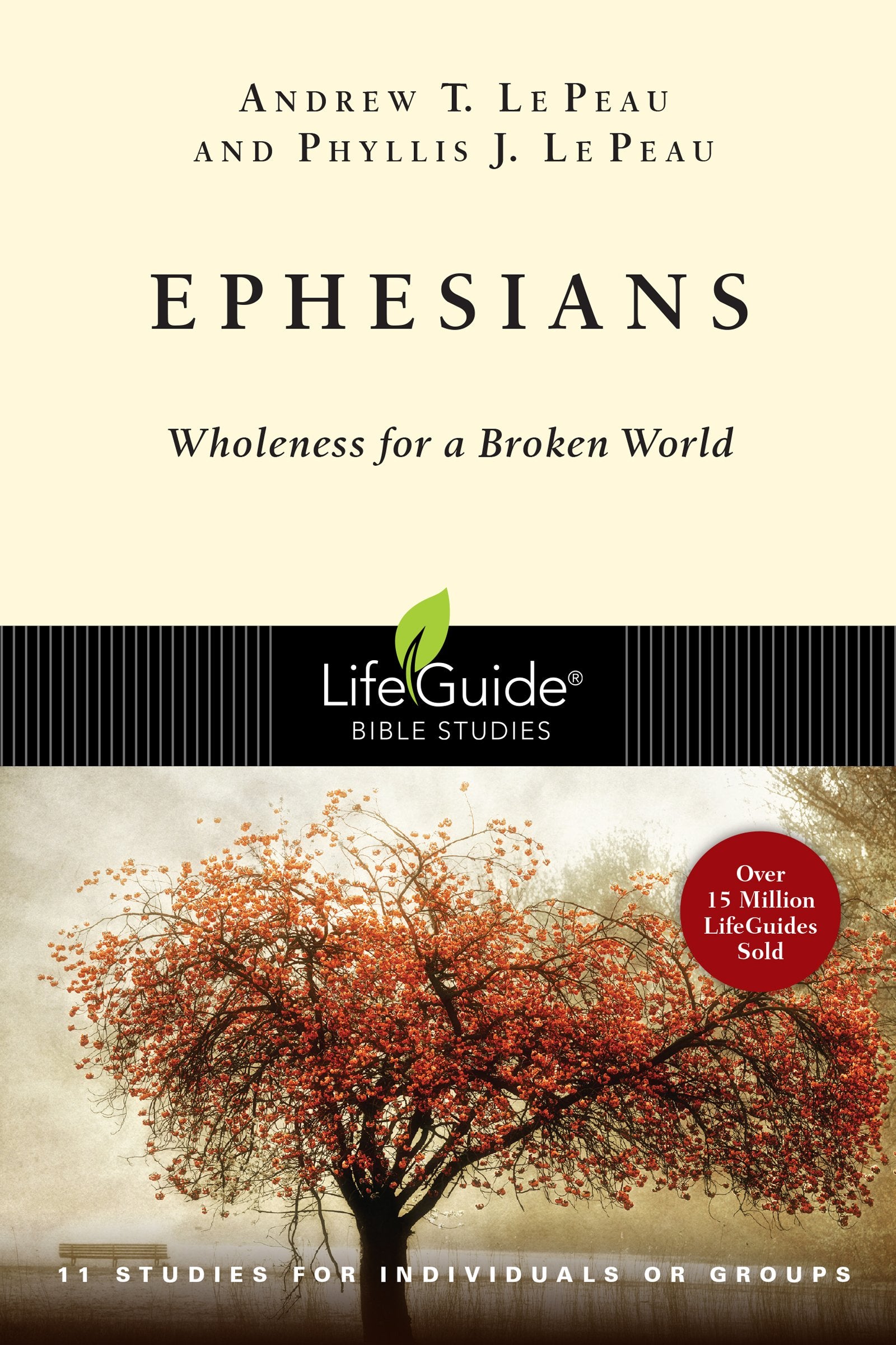 Ephesians: Wholeness for a Broken World (LifeGuide Bible Studies) Social Sciences
