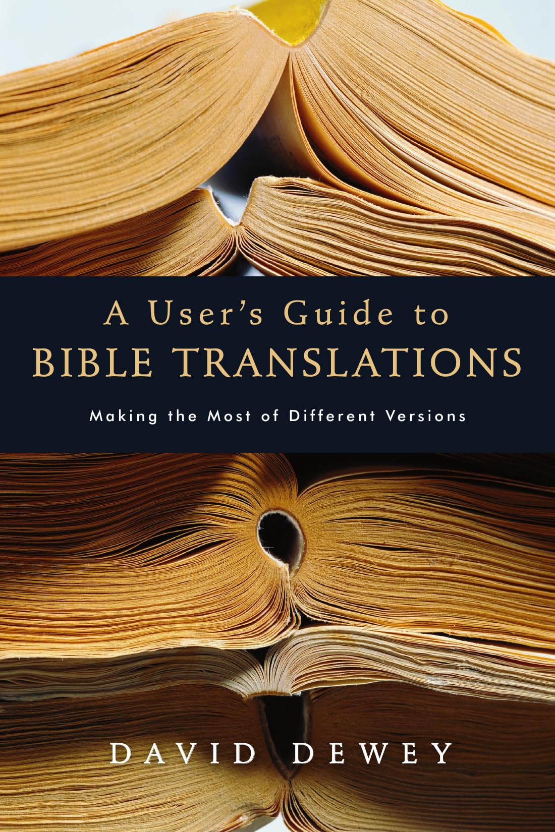 A User's Guide to Bible Translations: Making The Most Of Different Versions Social Sciences
