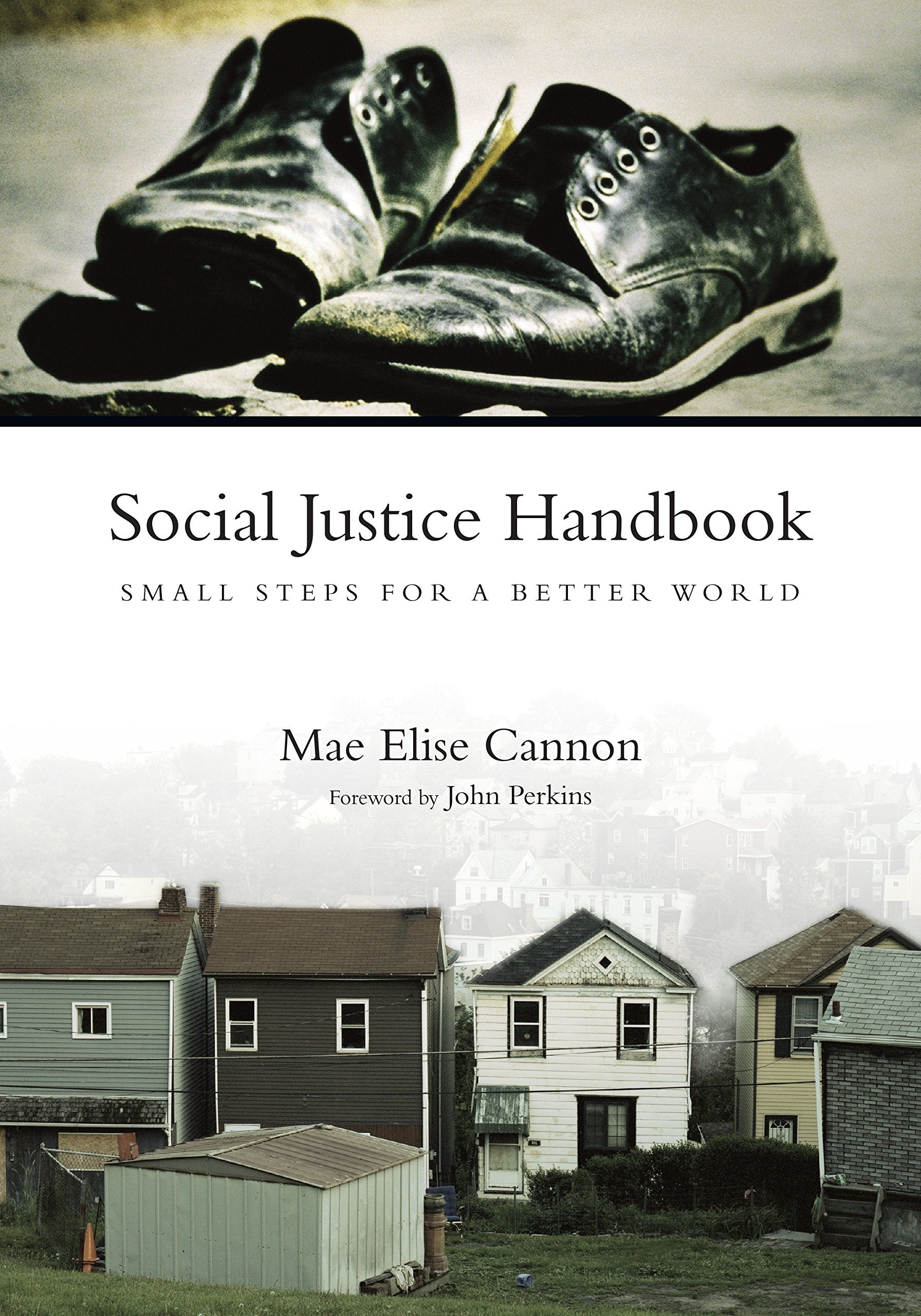Social Justice Handbook: Small Steps for a Better World (Bridgeleader Books) Social Sciences