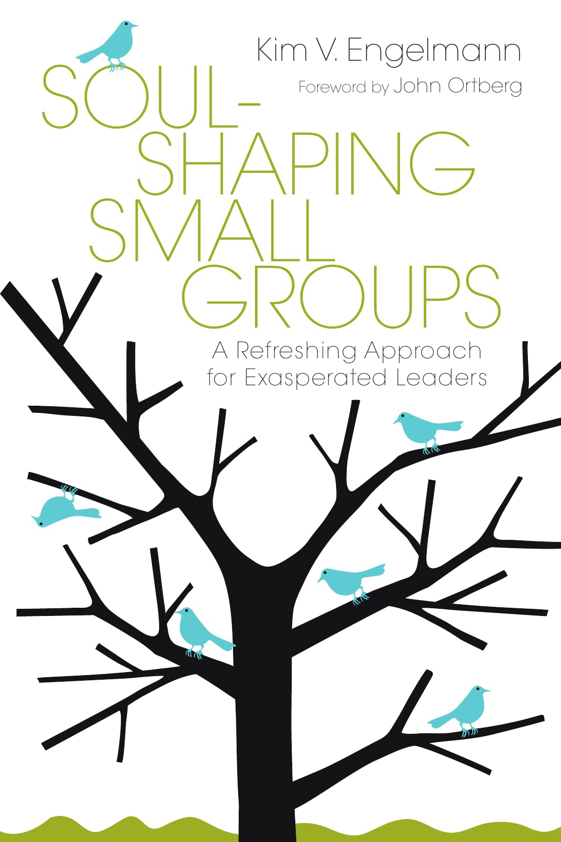 Soul-Shaping Small Groups: A Refreshing Approach for Exasperated Leaders Social Sciences