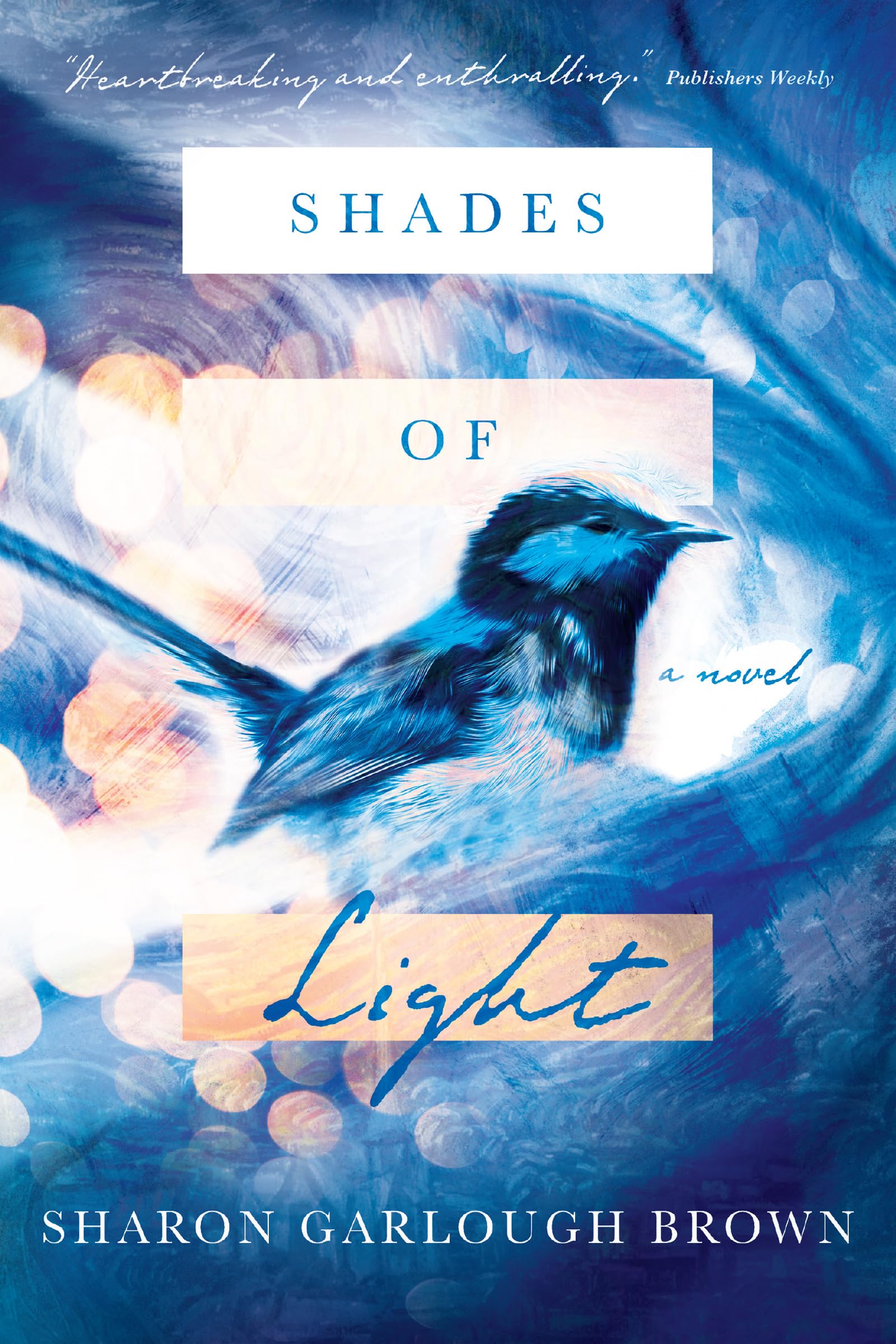 Shades of Light: A Novel Contemporary literature