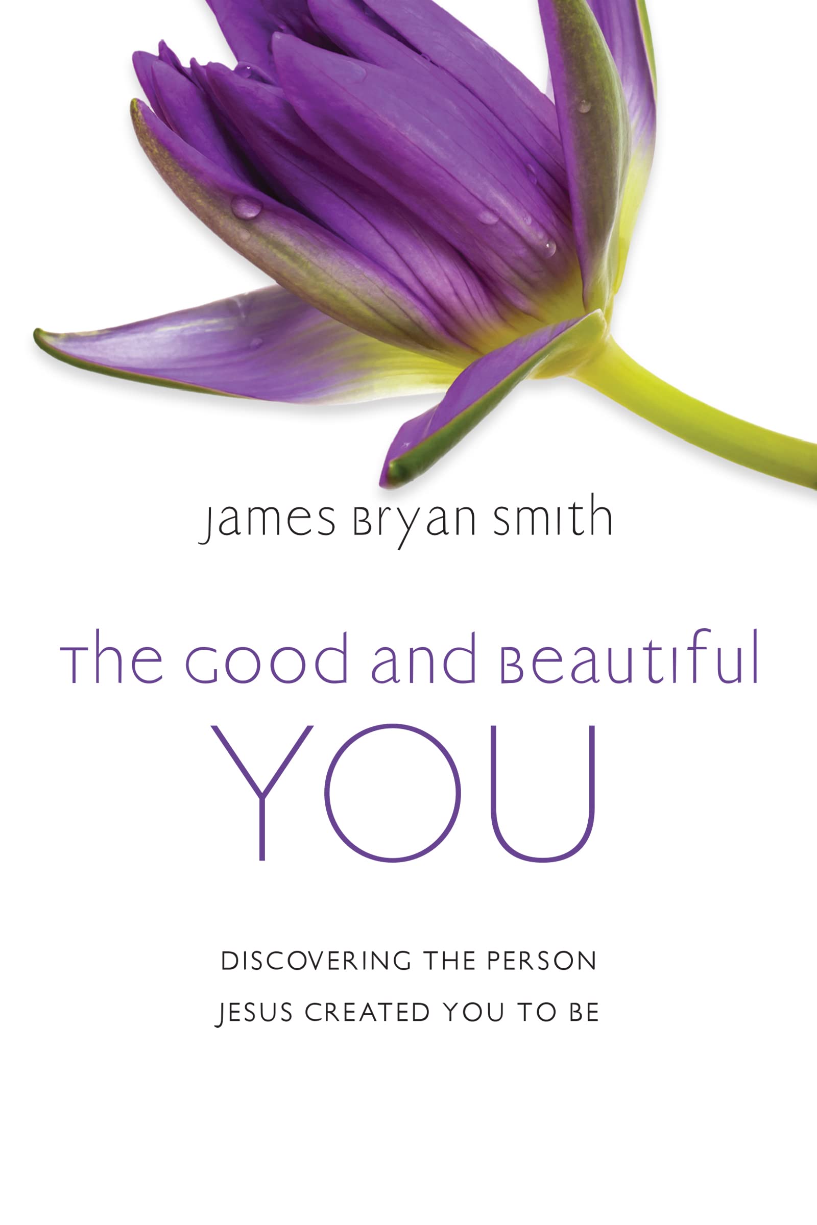 The Good and Beautiful You: Discovering the Person Jesus Created You to Be Religion & Esotericism