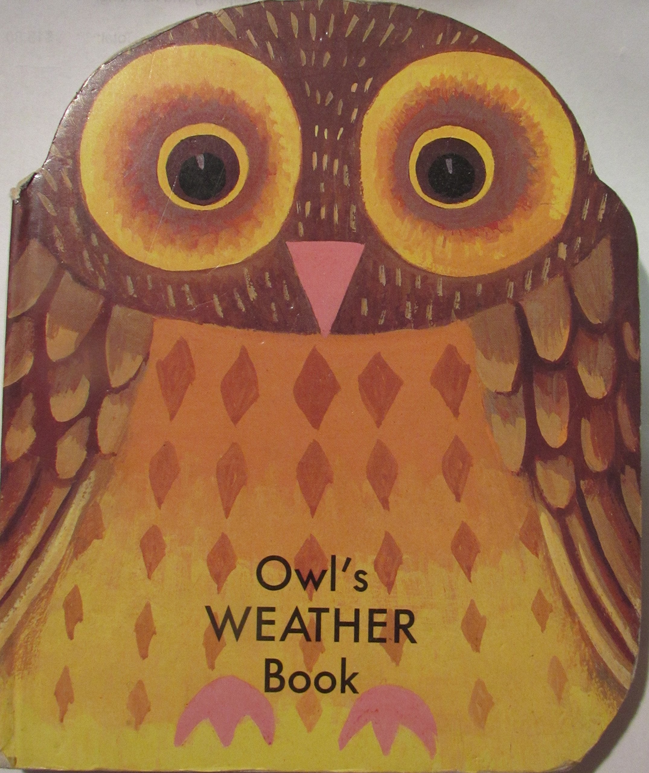 Owls Weather Book (Animal Book) Books