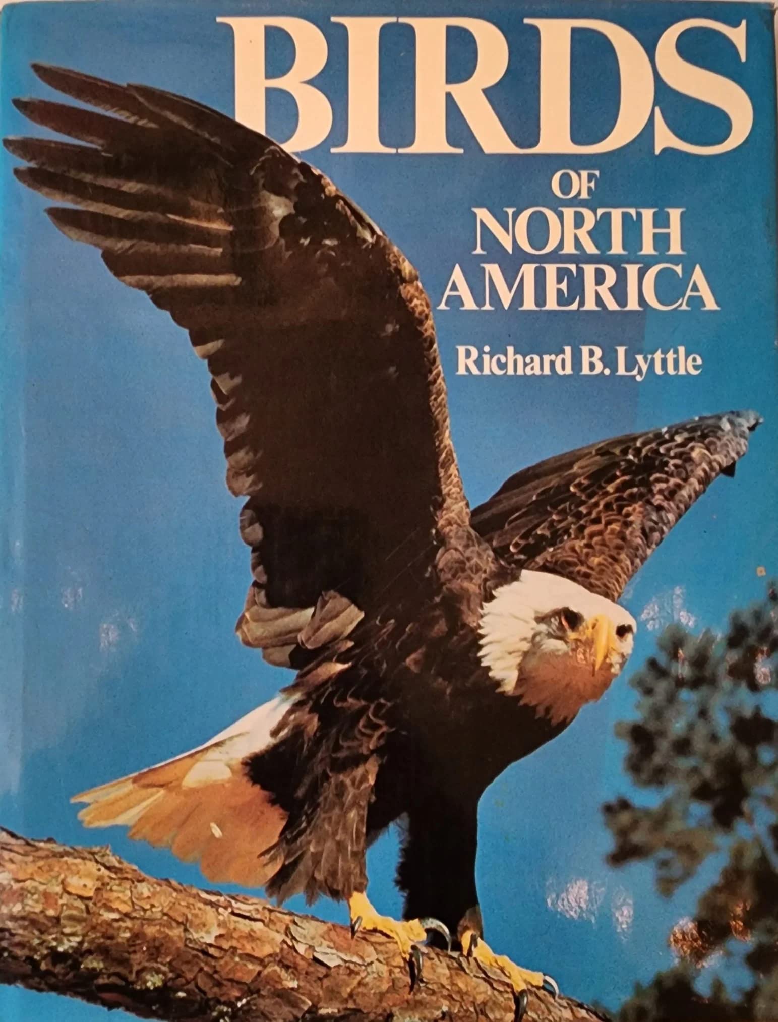 The Birds of North America Business & Technology