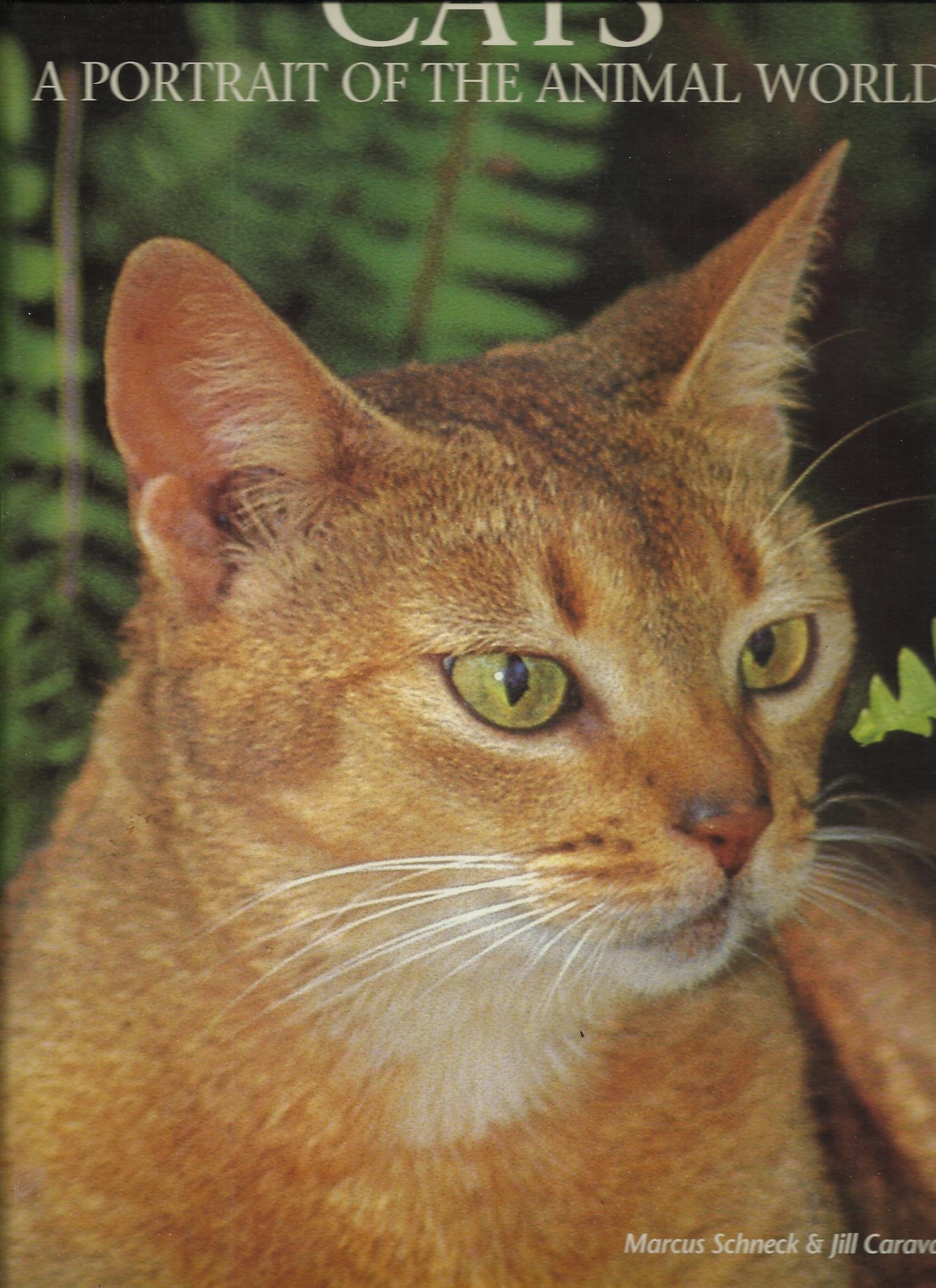Cats: A Portrait of the Animal World book