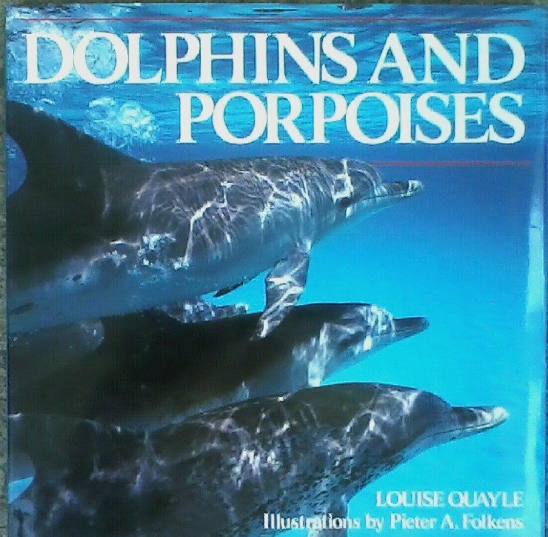 Dolphins and Porpoises Business & Technology