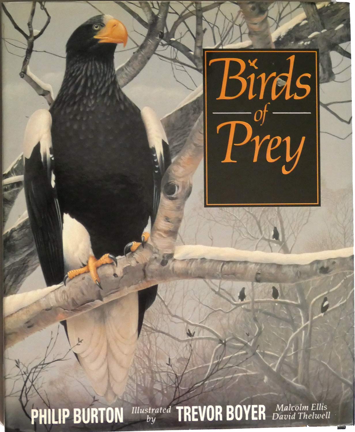 Birds of Prey Business & Technology