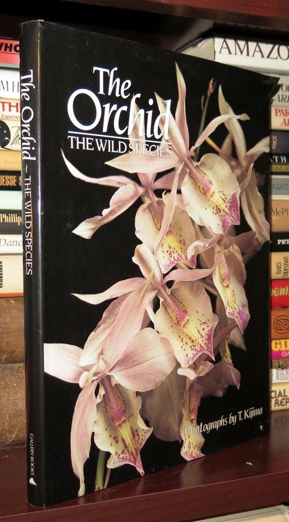 The Orchid Photography