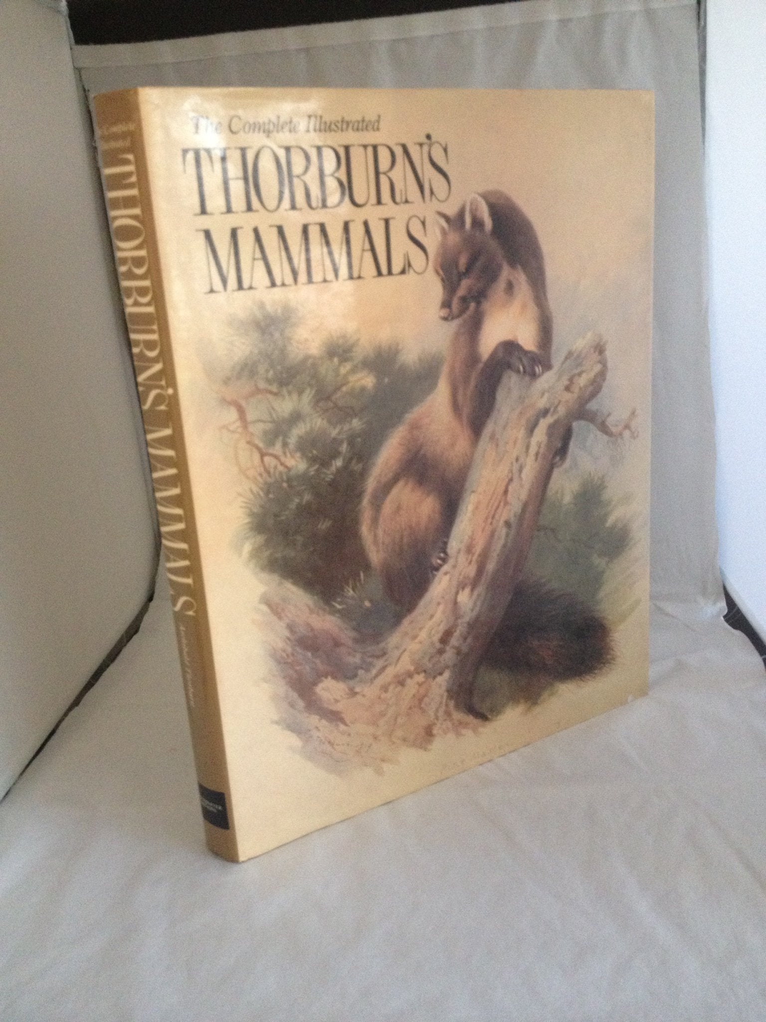 Product Image: Complete Illustrated Thorburn's Mammals