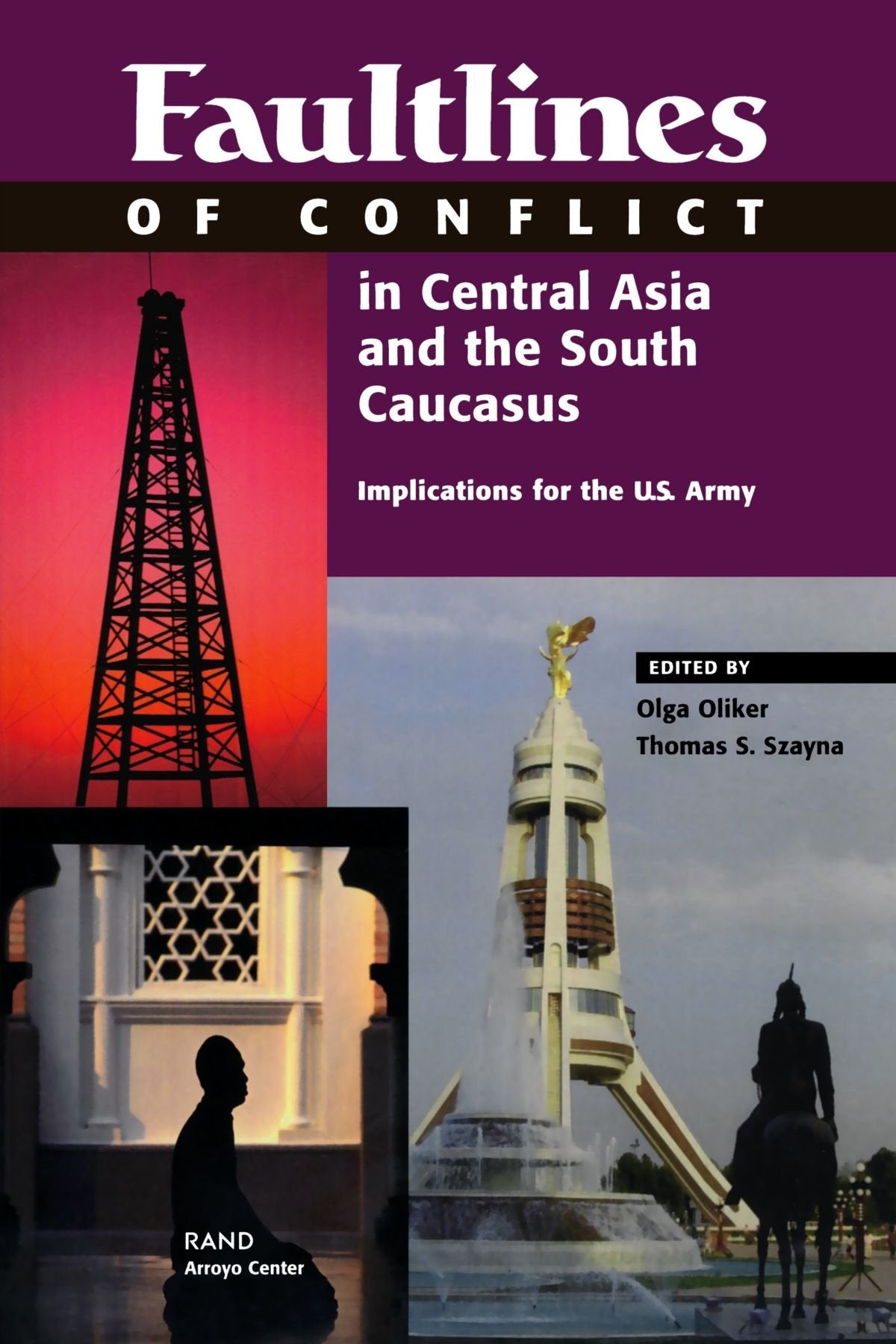 Faultlines Conflict Central Asia & the South Caucasus book