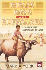 Bibles, Boys, and Buffaloes (Understanding Christian mission) Books
