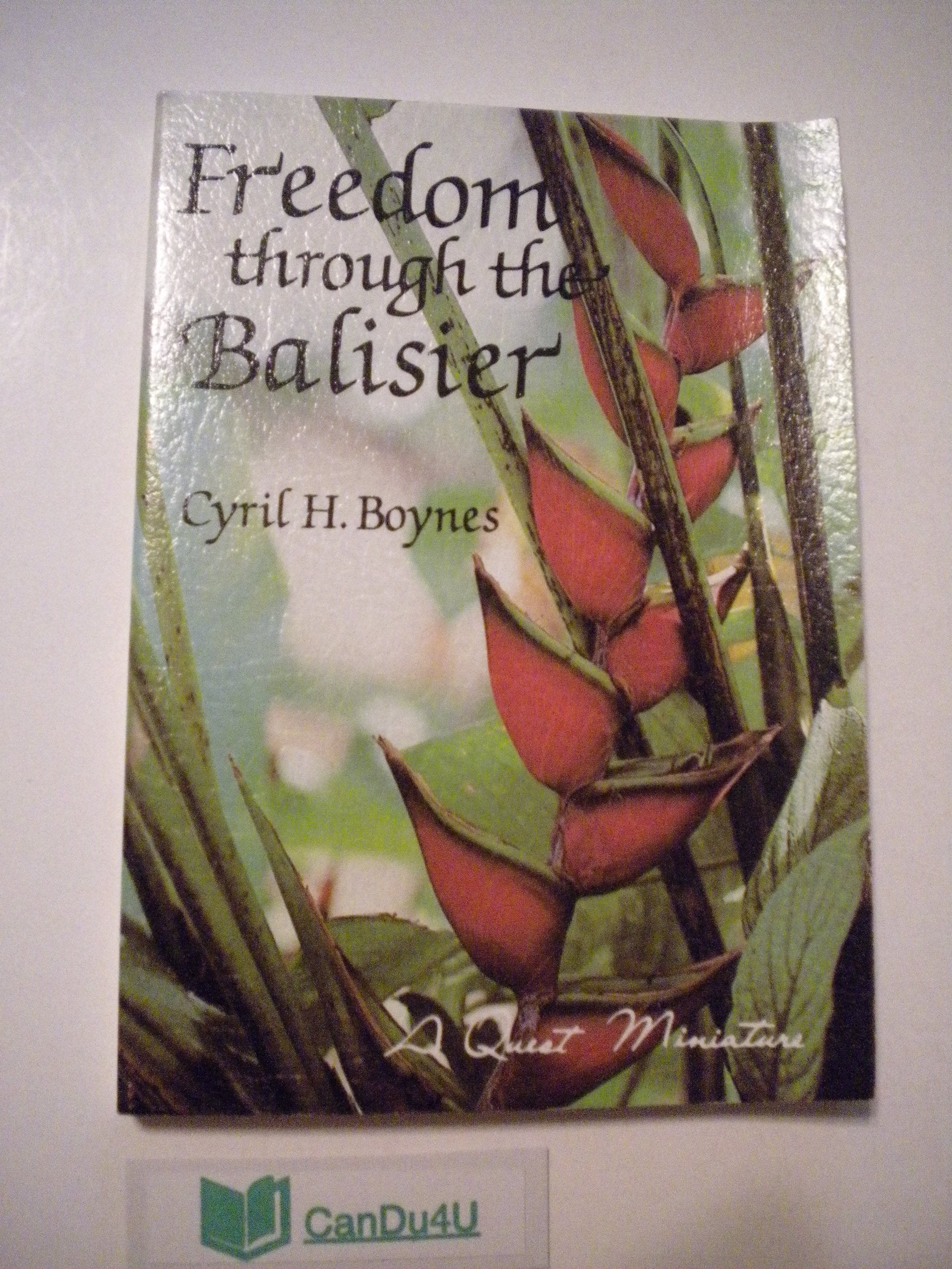 Freedom Through the Balisier: A Practical Guide to Inner Peace (Quest Books) Religion & Esotericism