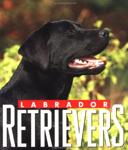 Labrador Retrievers (Little Books) Pets