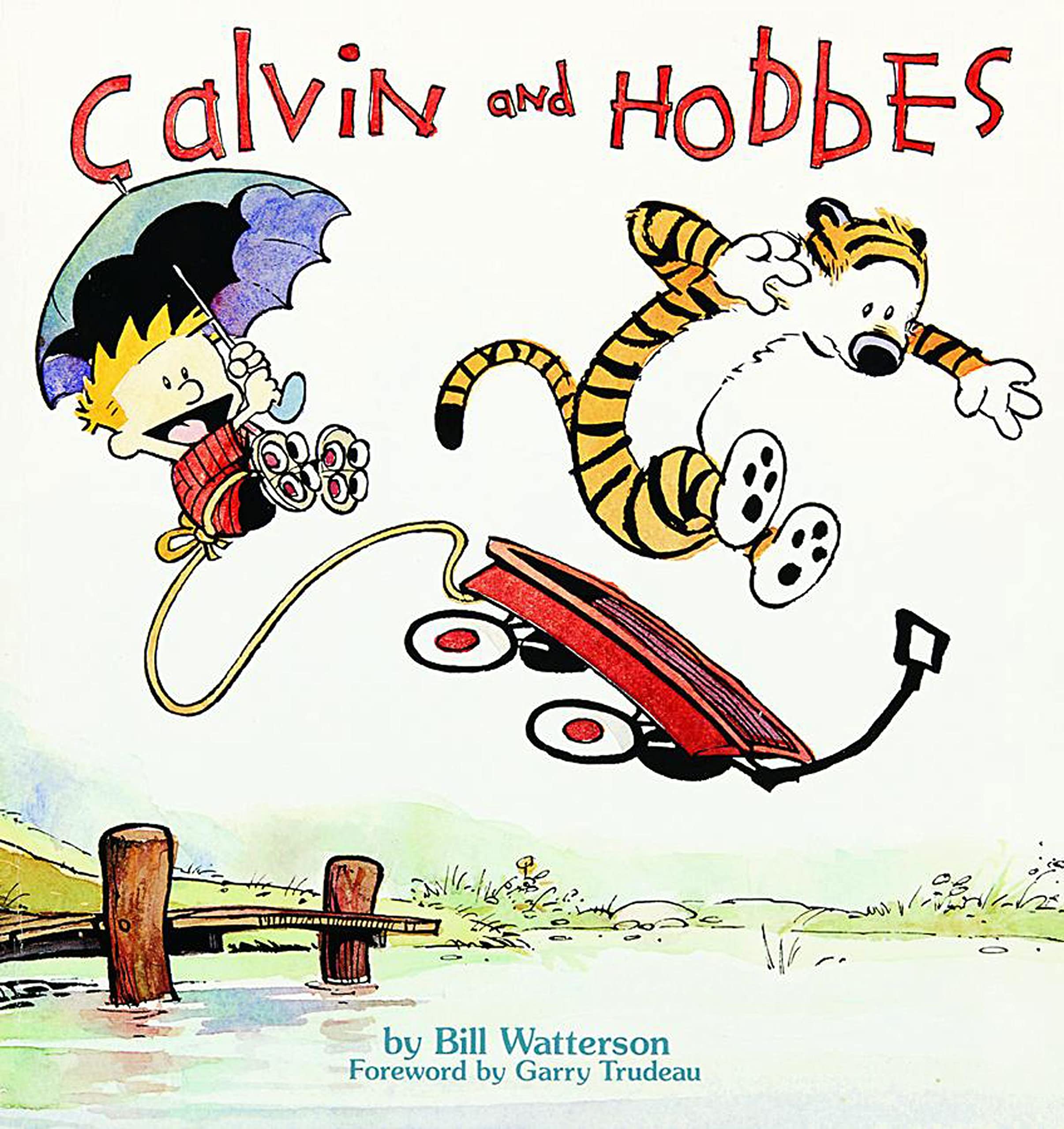 Calvin and Hobbes Social Sciences