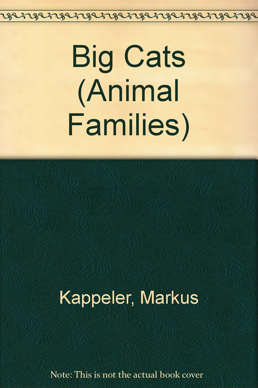 Big Cats (Animal Families) Books