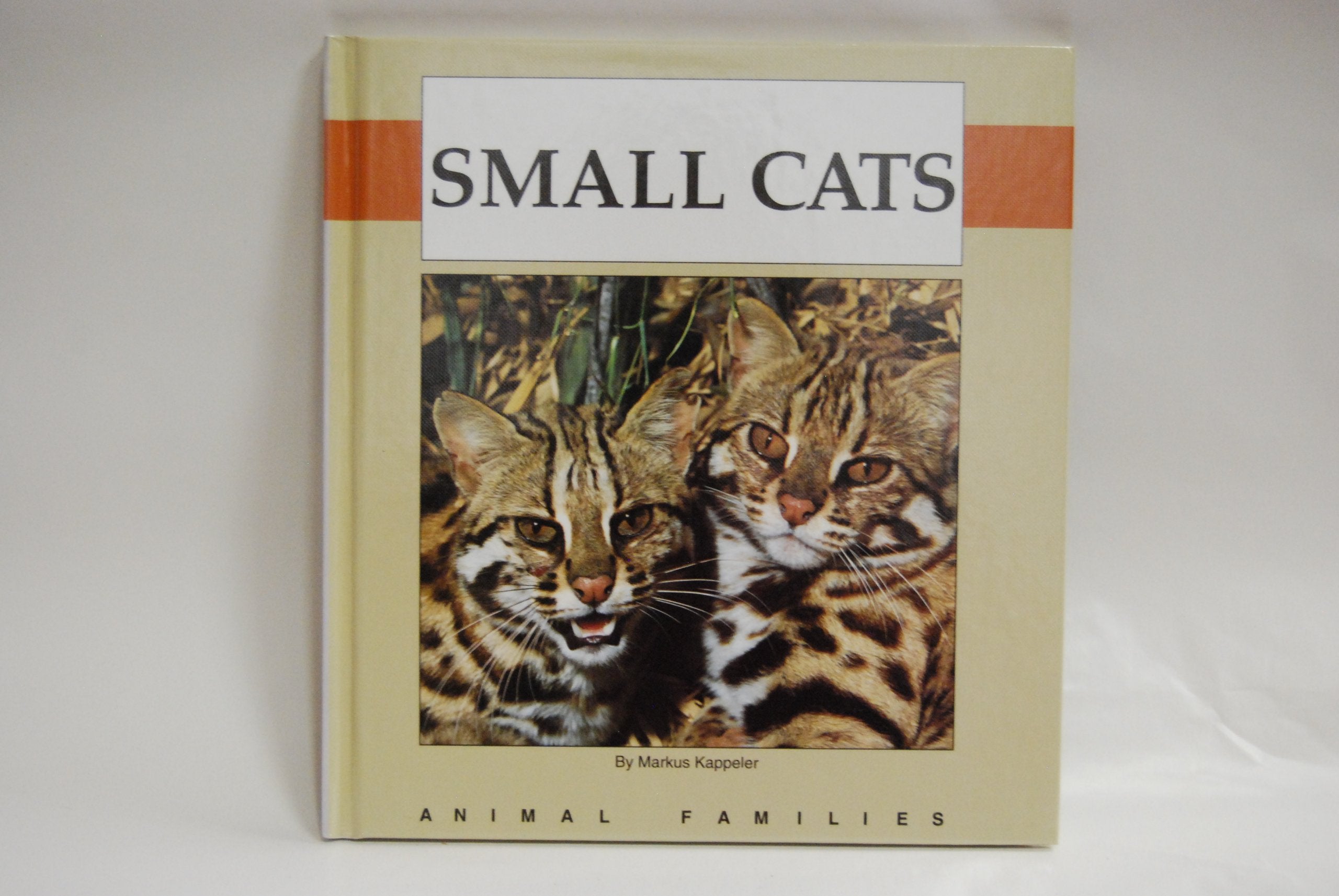 Small Cats (Animal Families) Books