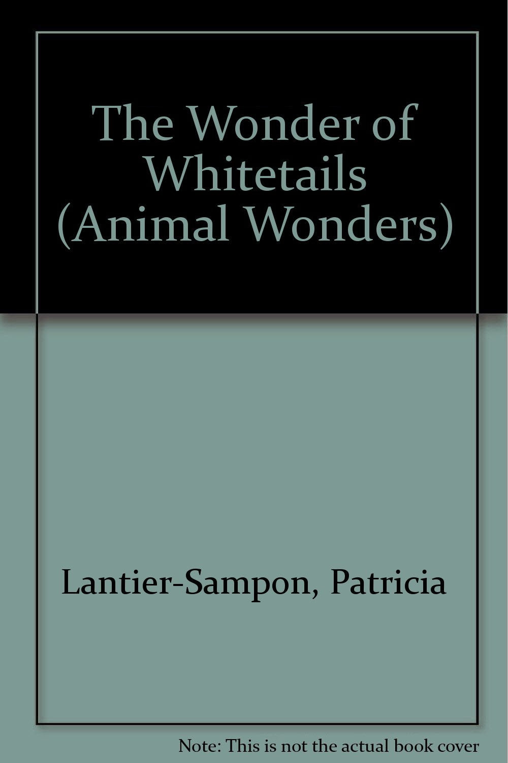 The Wonder of Whitetails (Animal Wonders) Books