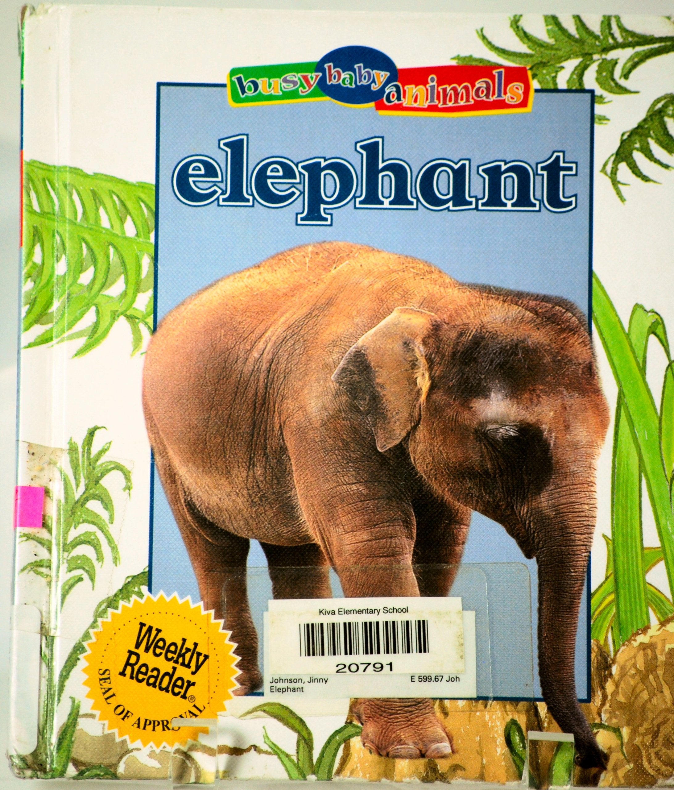 Elephant (Busy Baby Animals) Non-fiction