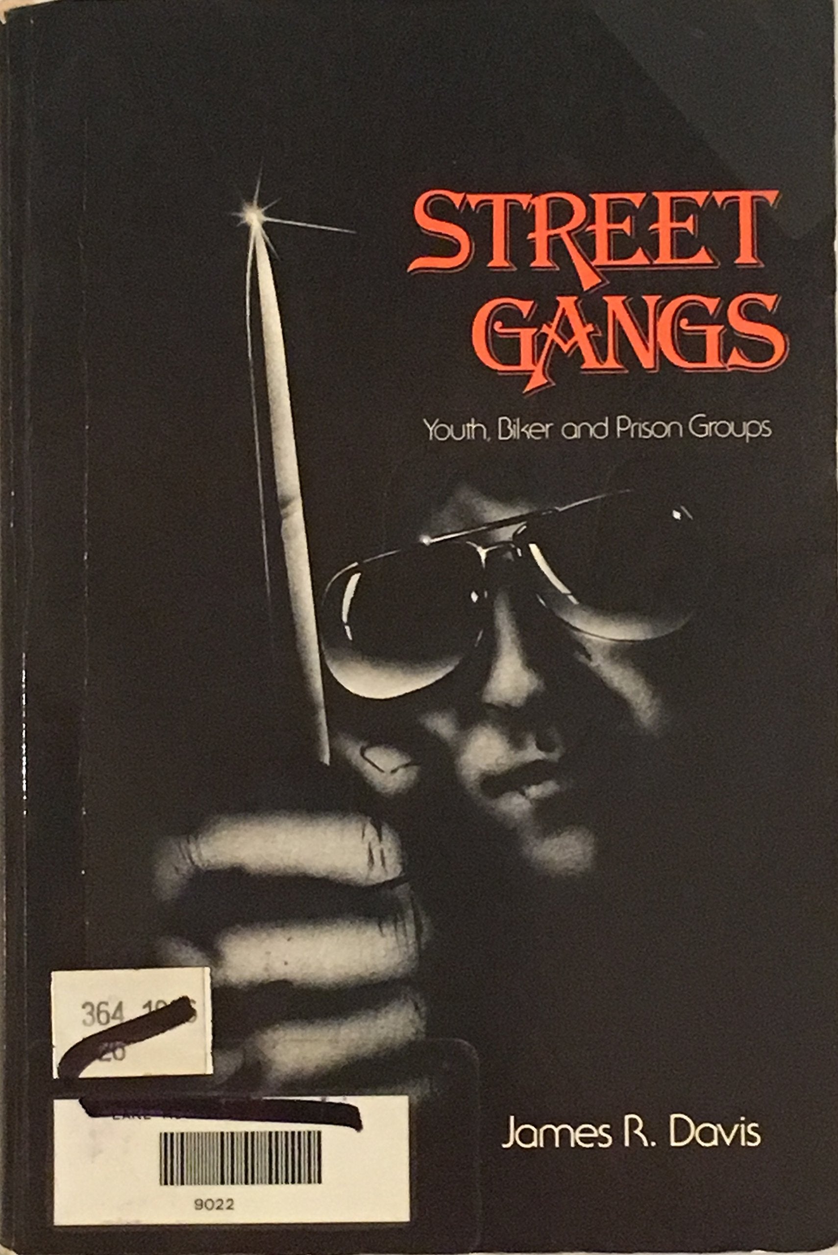 Street Gangs: Youth, Biker and Prison Groups Social Sciences