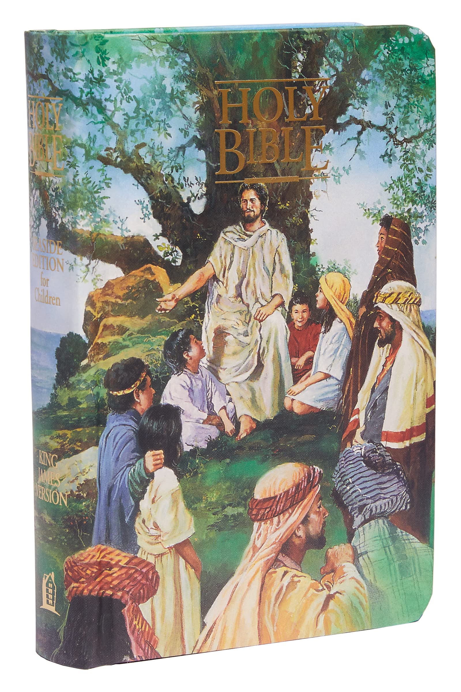 KJV Classic Children's Bible, Seaside Edition, Full-color Illustrations (Hardcover): Holy Bible, King James Version (Kjv-110) Non-fiction