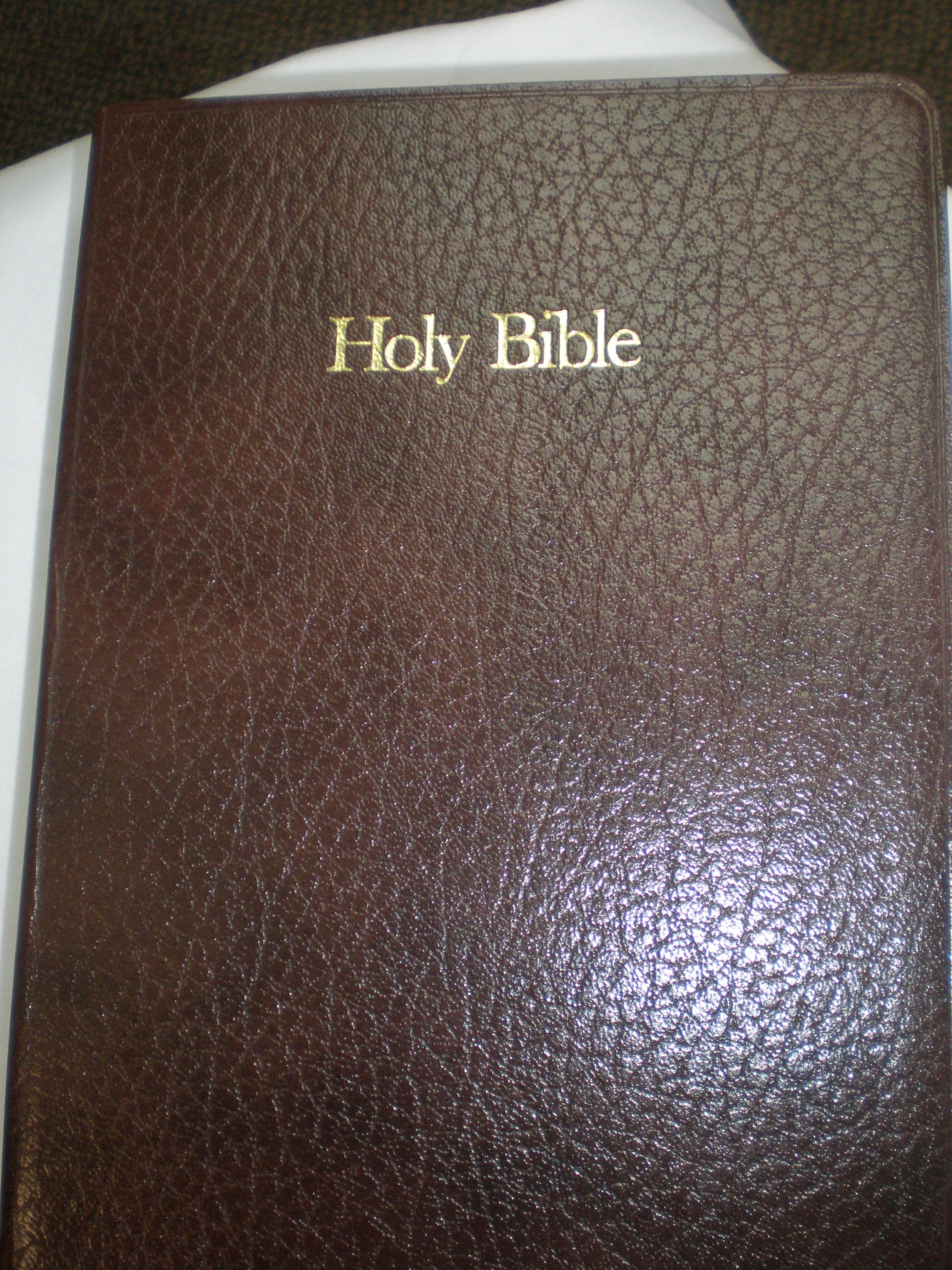 Holy Bible, New American Standard No. 9583Br: Reference Bible, Brown Leatherflex Religion & Esotericism