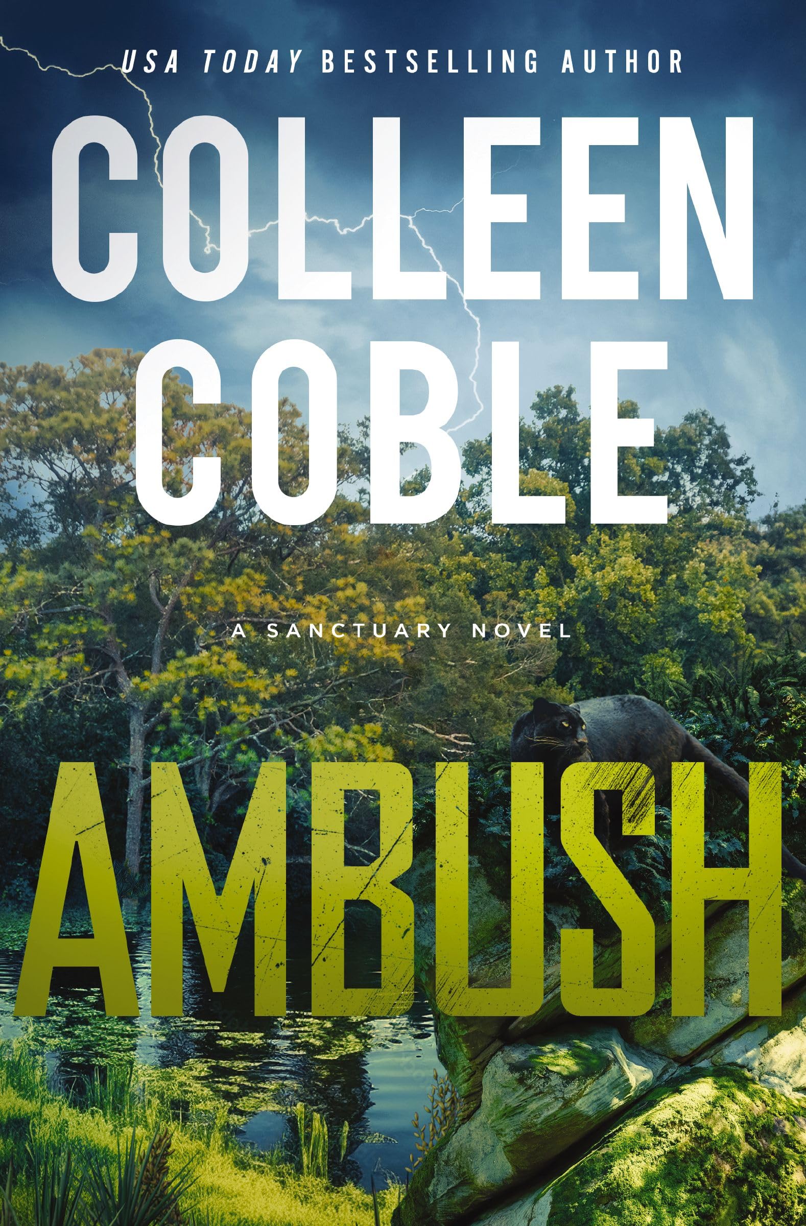 Ambush: A Small-Town Romantic Suspense (A Sanctuary Novel, Band 1) Detective & CSI