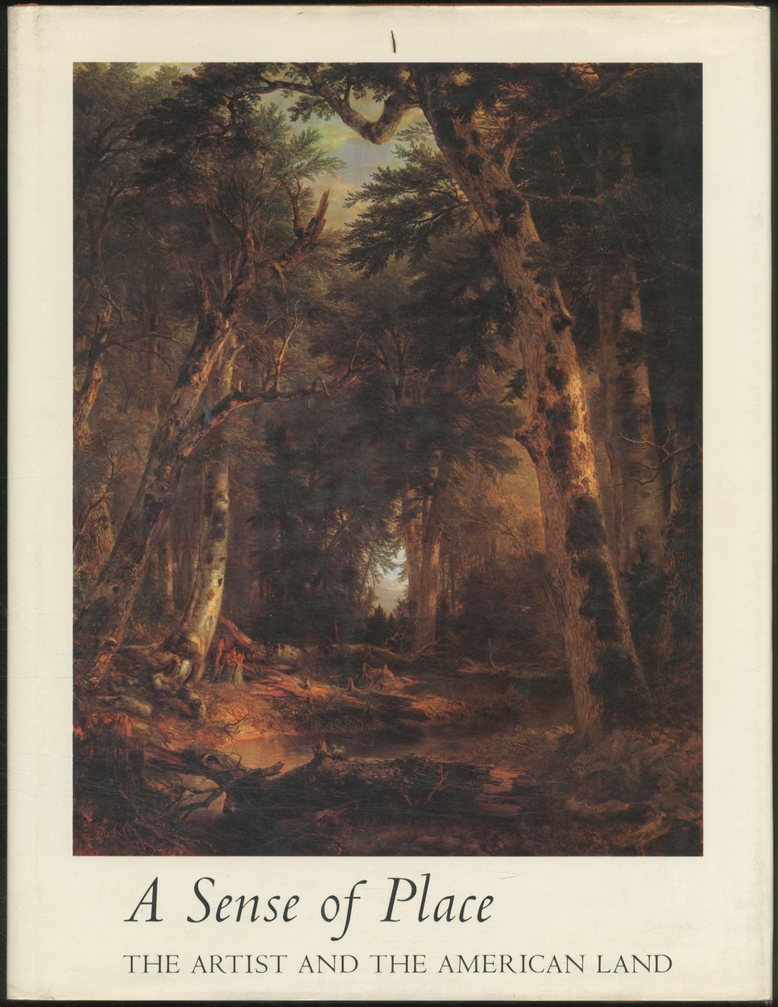 A sense of place: the artist and the American land (The Earth's wild places) Books