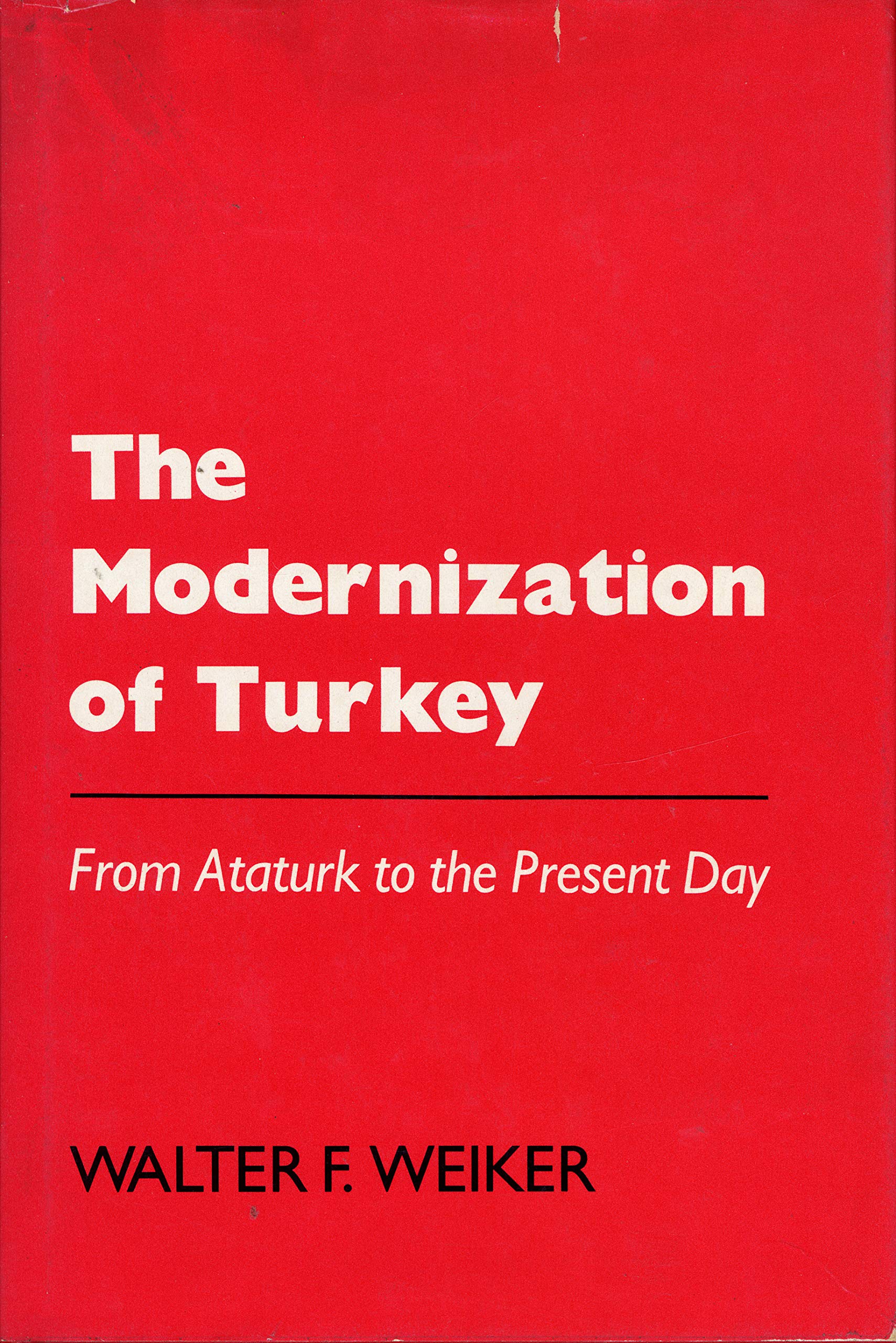 Modernization of Turkey from Ataturk to the Present Day Books